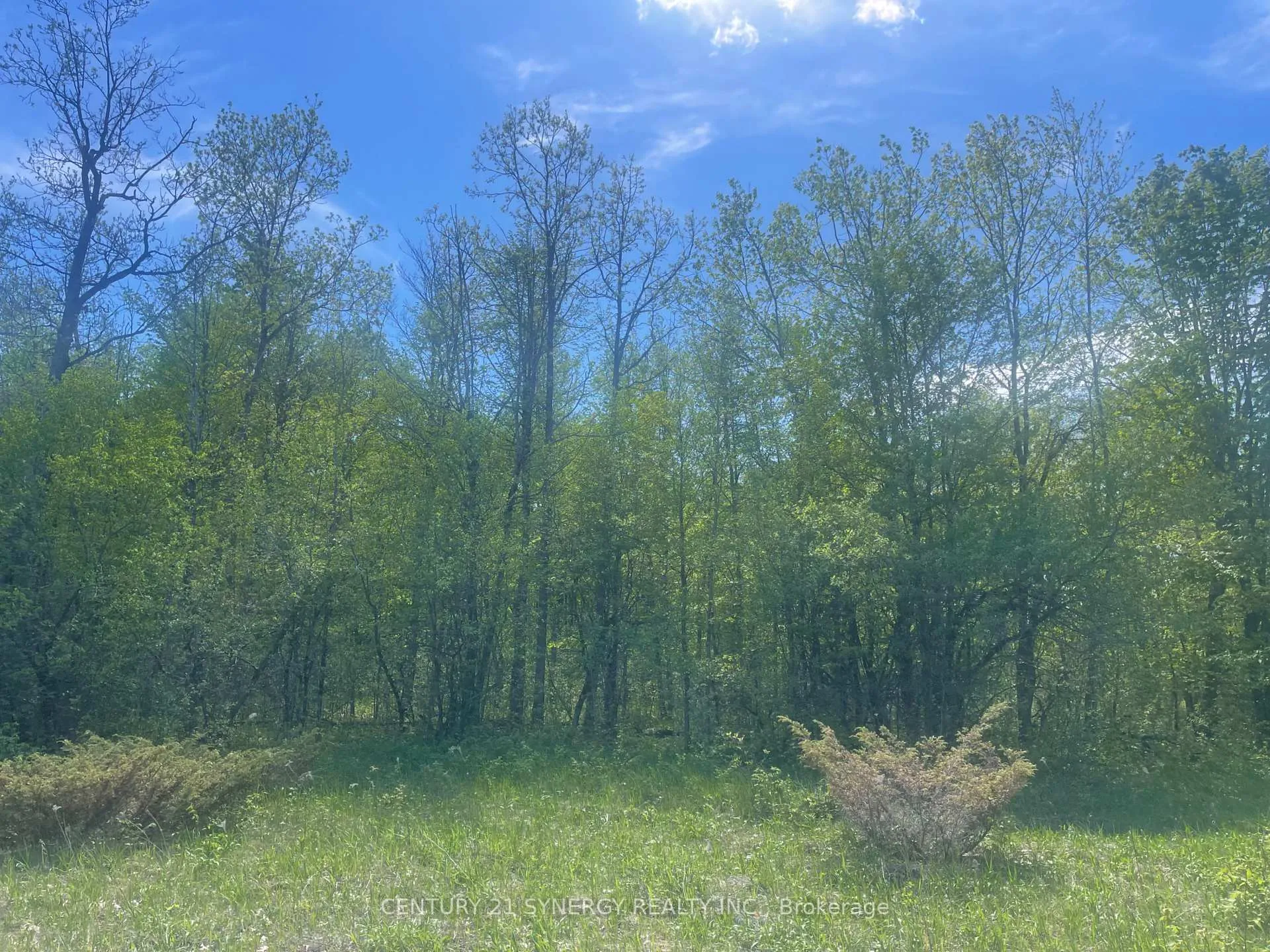 Photo 5 of 00 WIlson Road, Montague, Montague Twp — HOMEH