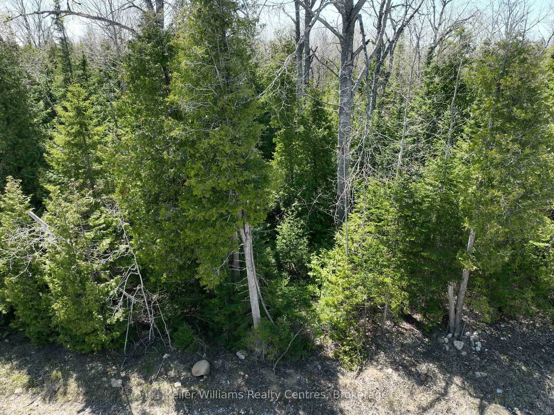 Photo 5 of Lot 10 Trillium Crossing, Northern Bruce Peninsula — HOMEH