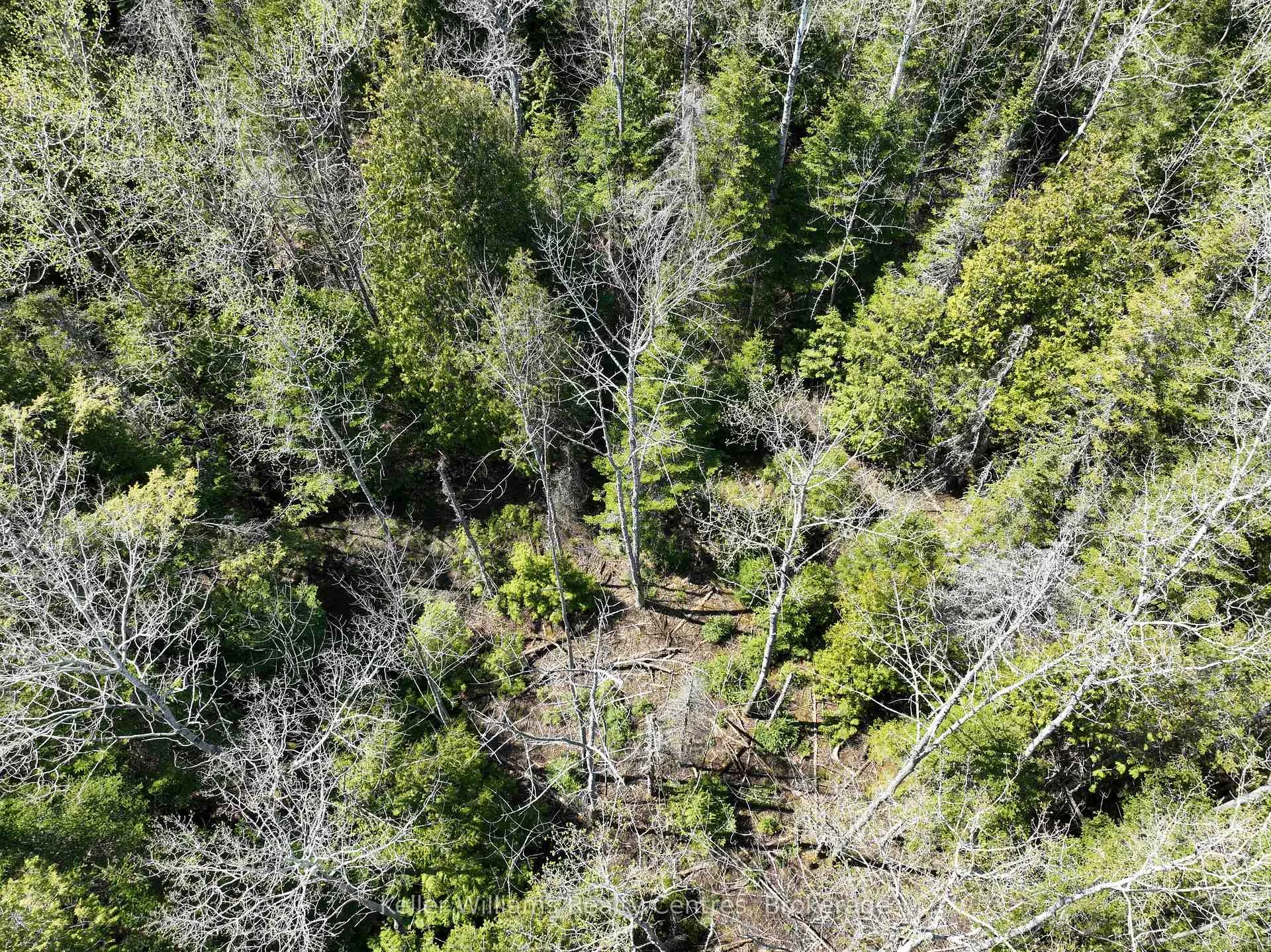 Photo 6 of Lot 10 Trillium Crossing, Northern Bruce Peninsula — HOMEH