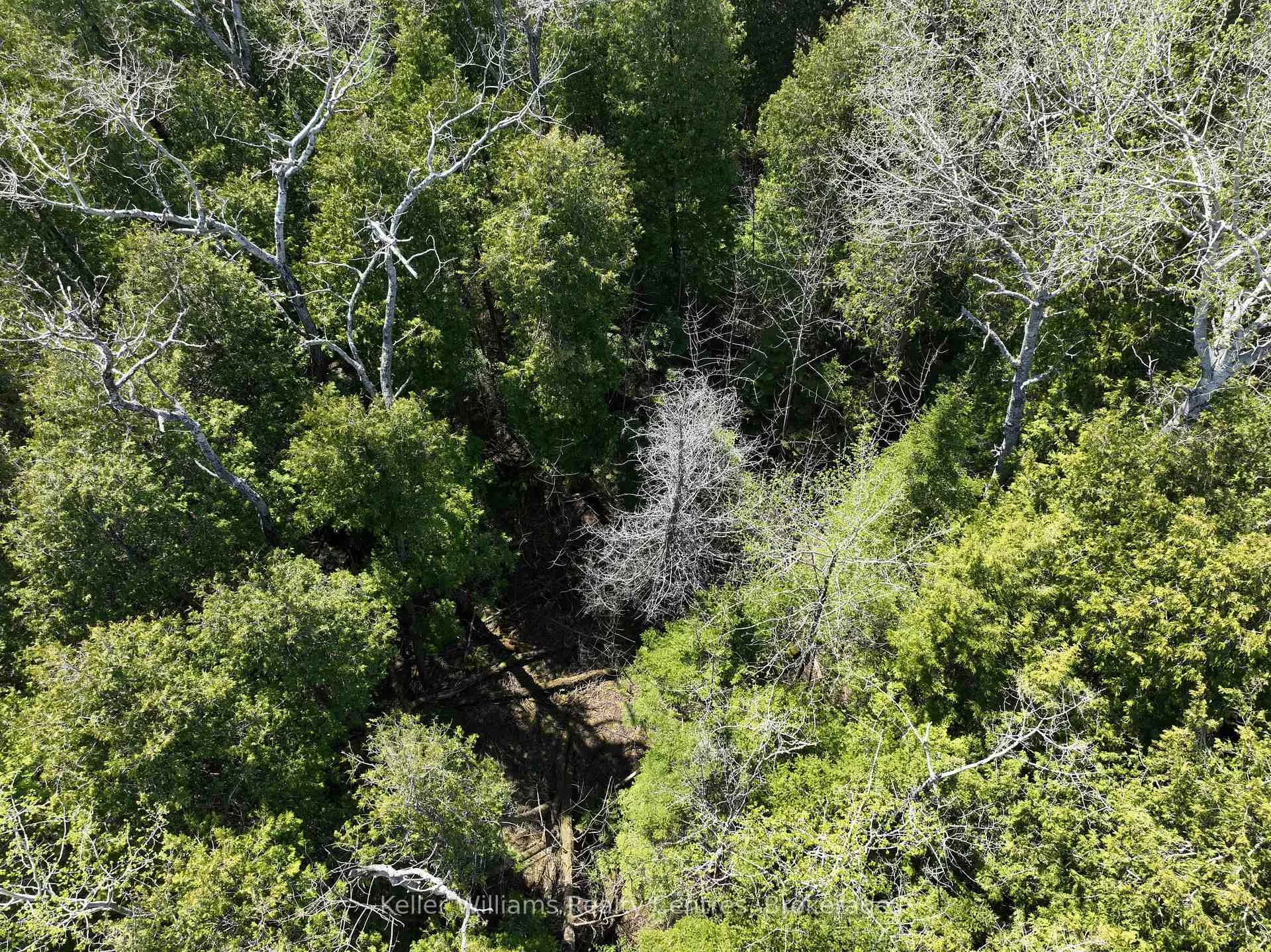 Photo 7 of Lot 10 Trillium Crossing, Northern Bruce Peninsula — HOMEH