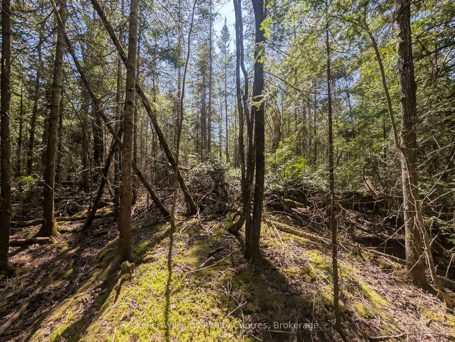 Photo 8 of Lot 10 Trillium Crossing, Northern Bruce Peninsula — HOMEH