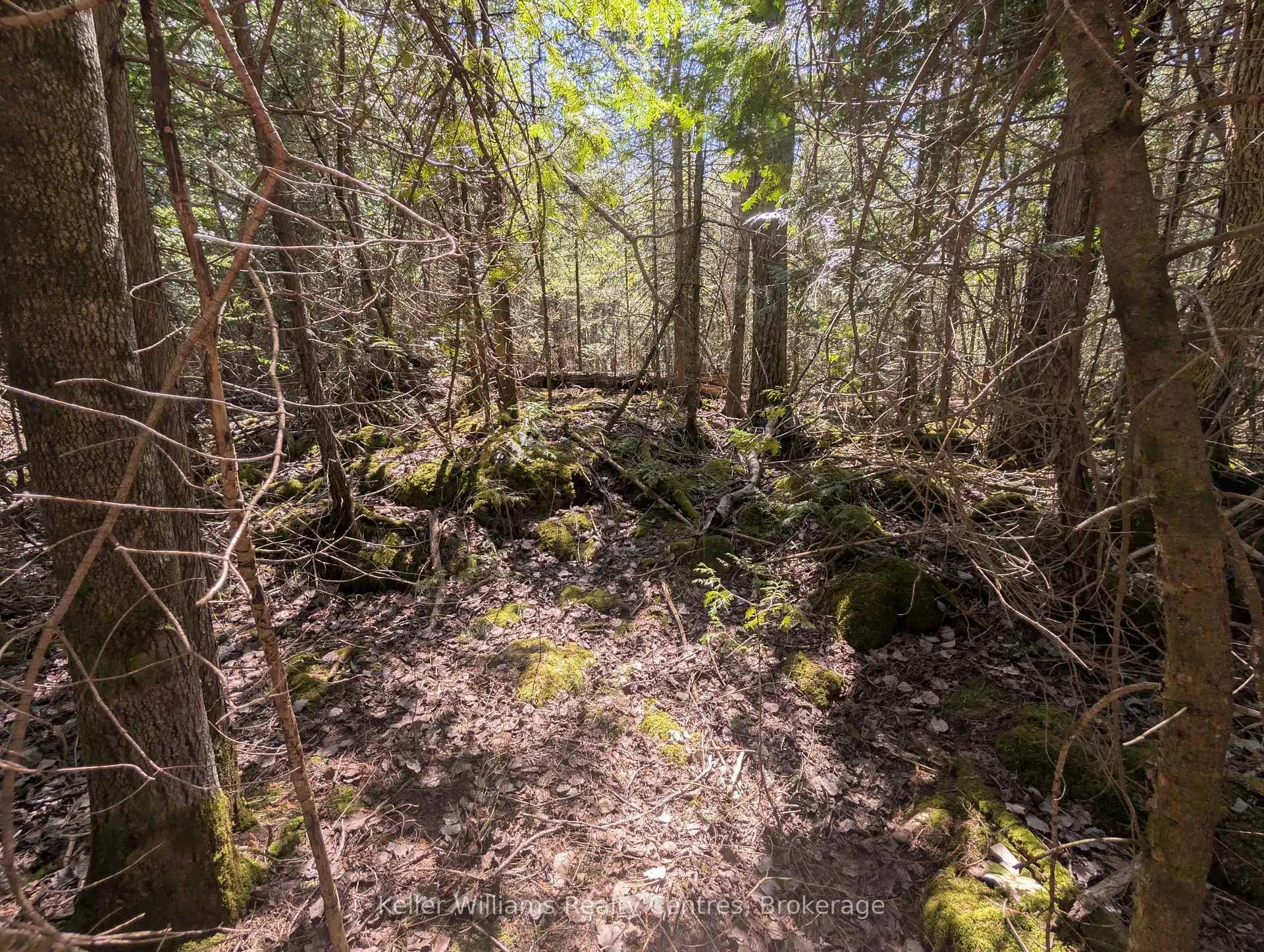 Photo 16 of Lot 10 Trillium Crossing, Northern Bruce Peninsula — HOMEH