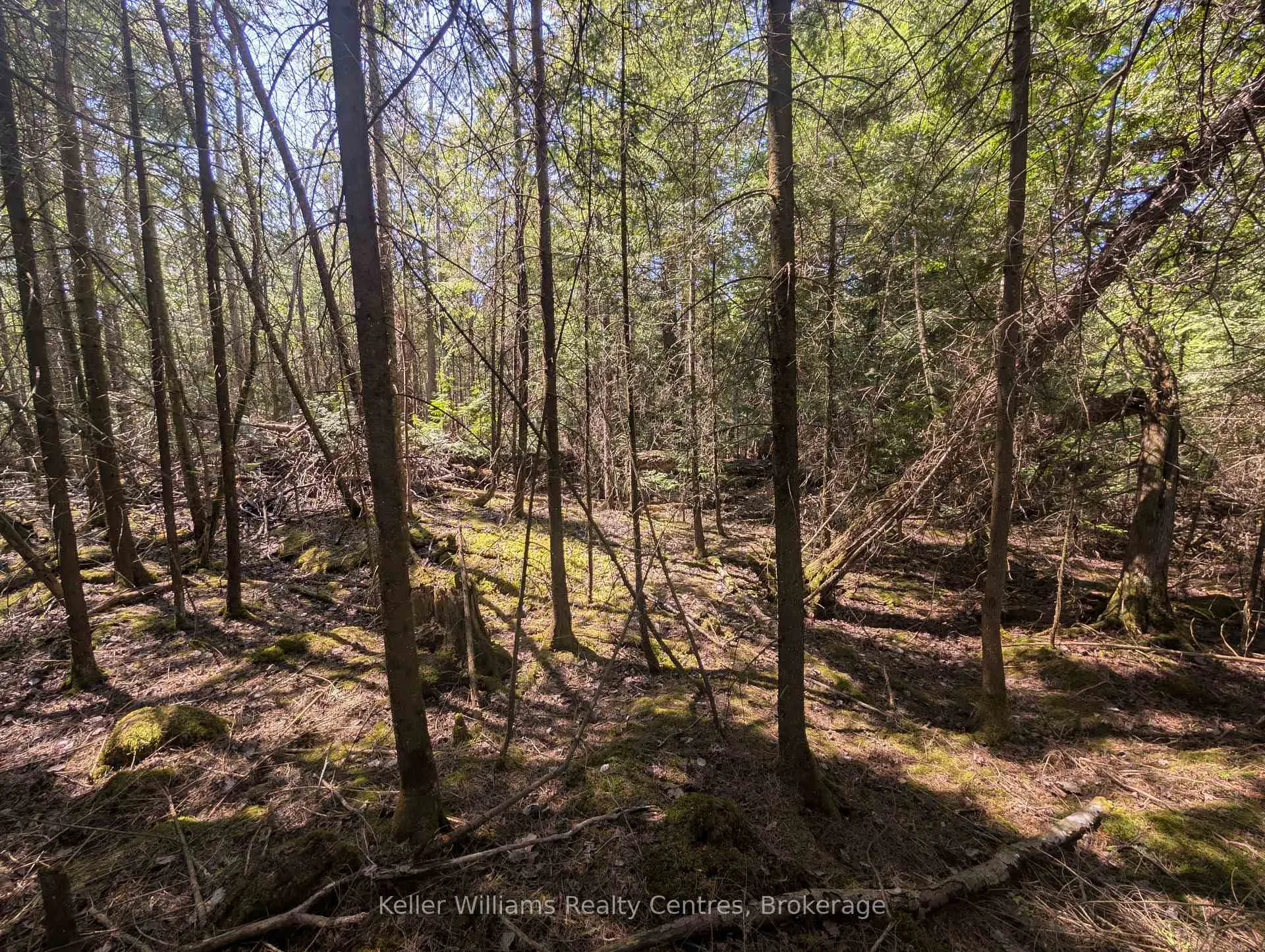 Photo 17 of Lot 10 Trillium Crossing, Northern Bruce Peninsula — HOMEH