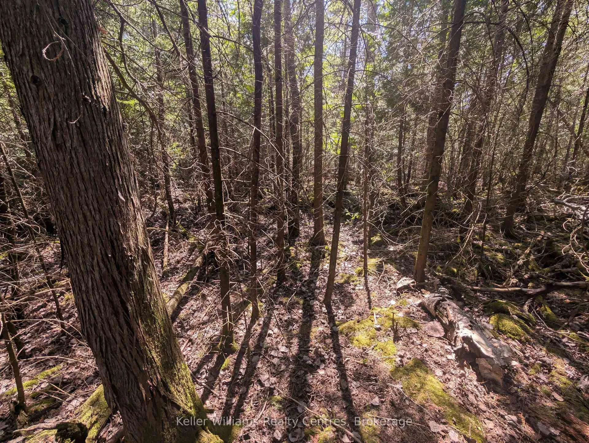 Photo 18 of Lot 10 Trillium Crossing, Northern Bruce Peninsula — HOMEH