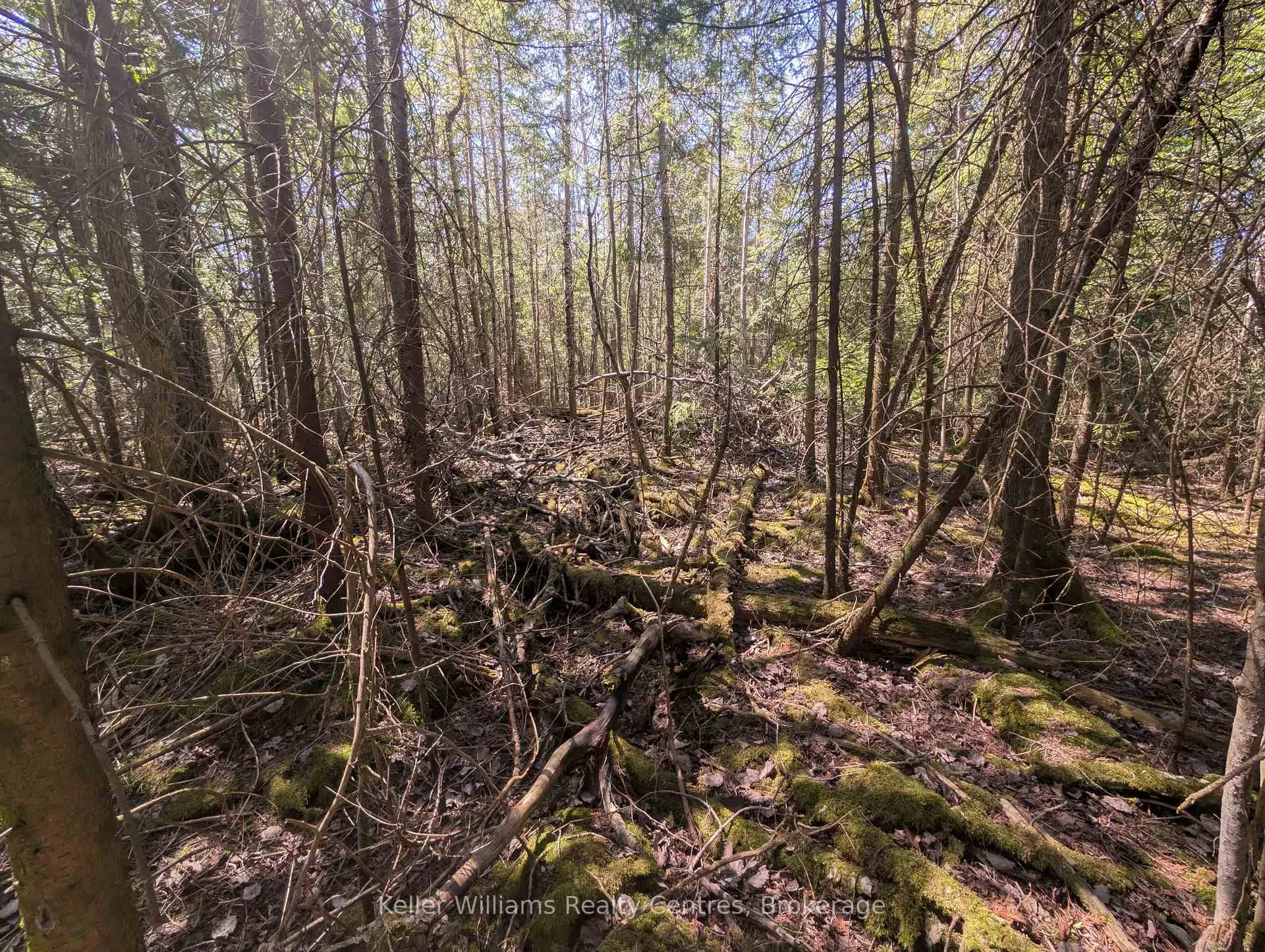 Photo 19 of Lot 10 Trillium Crossing, Northern Bruce Peninsula — HOMEH