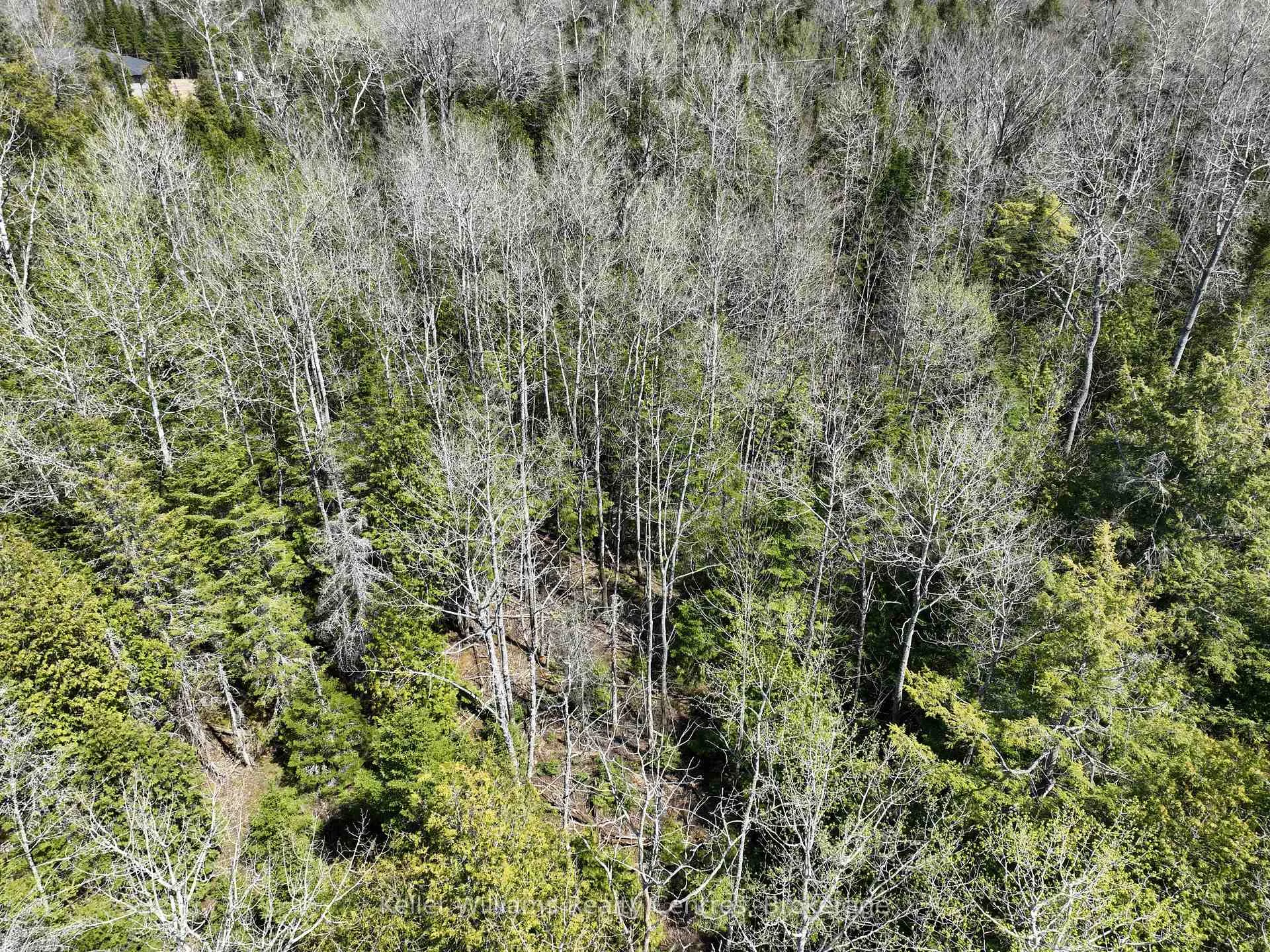 Photo 20 of Lot 10 Trillium Crossing, Northern Bruce Peninsula — HOMEH