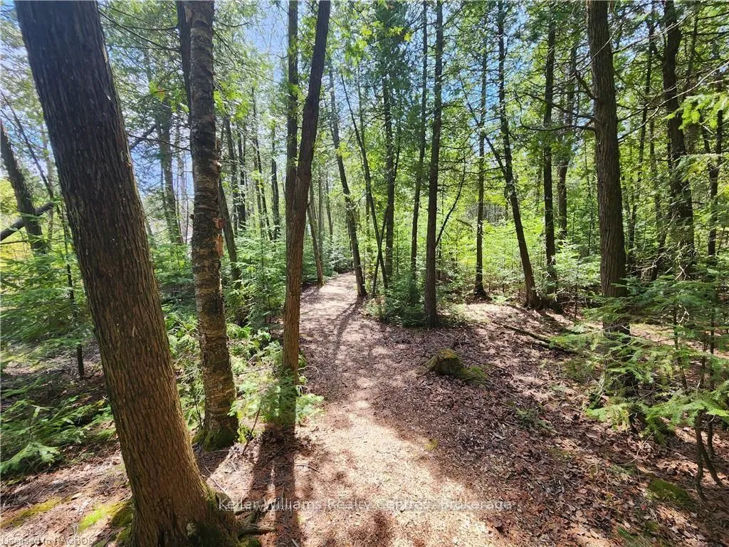 Photo 30 of Lot 10 Trillium Crossing, Northern Bruce Peninsula — HOMEH