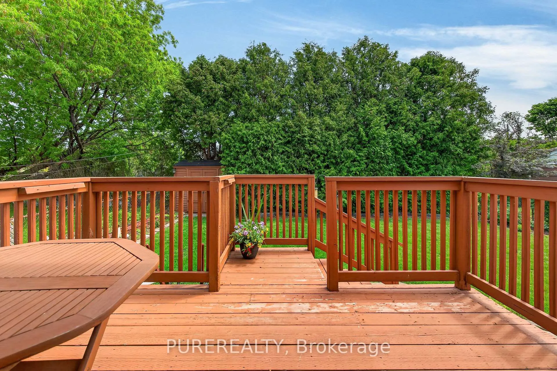 Photo 33 of 263 East 38th Street, Hamilton, Raleigh — HOMEH