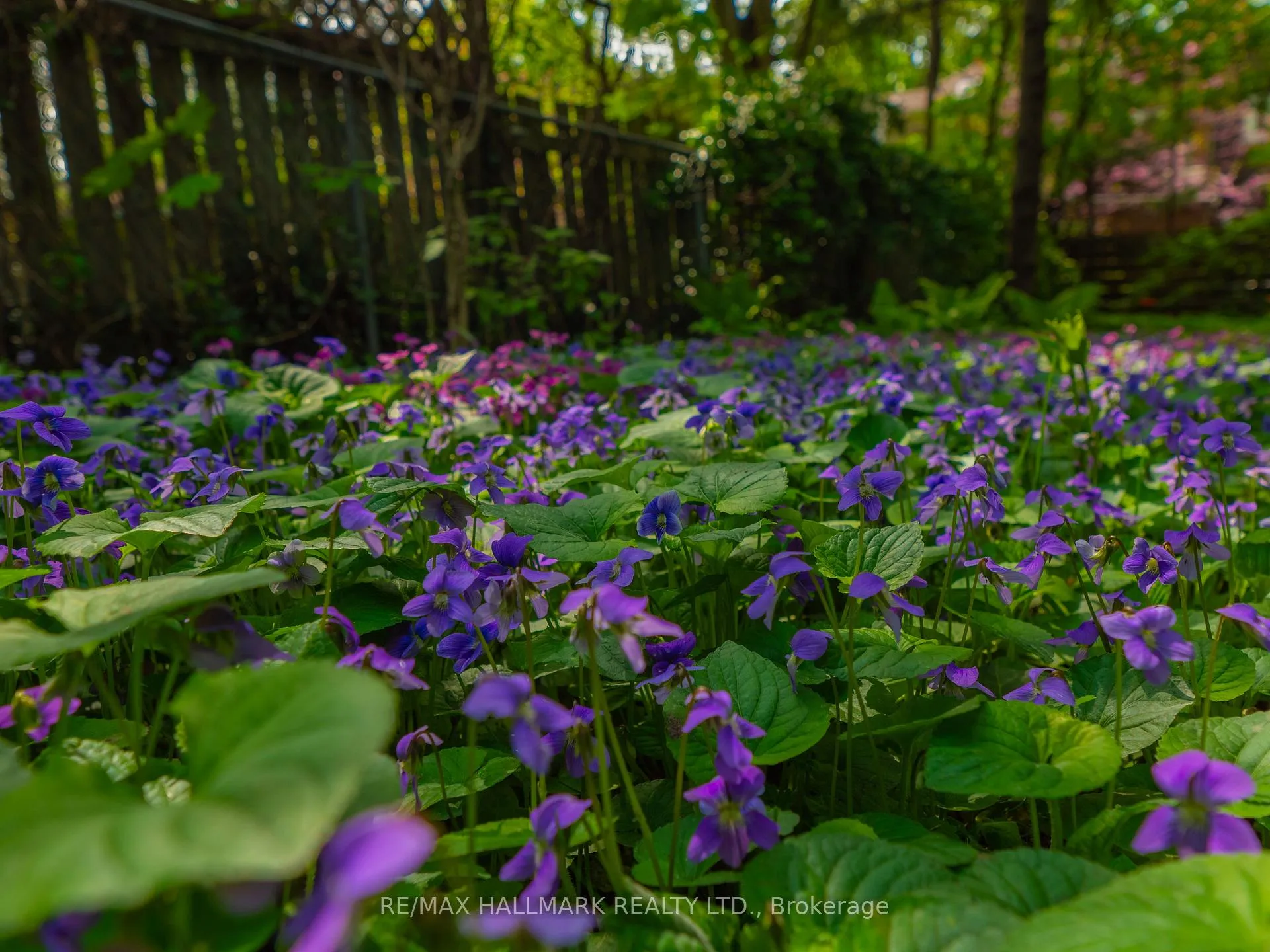Photo 46 of 99 Riverdale Avenue, Toronto, North Riverdale — HOMEH