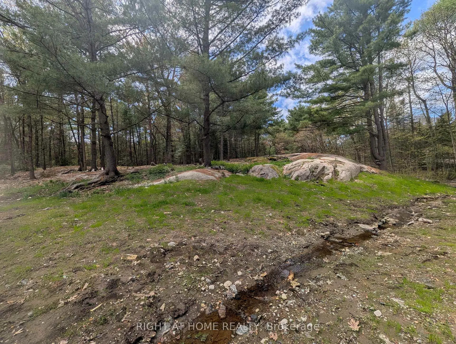 Photo 35 of 44 559 Highway, Carling — HOMEH