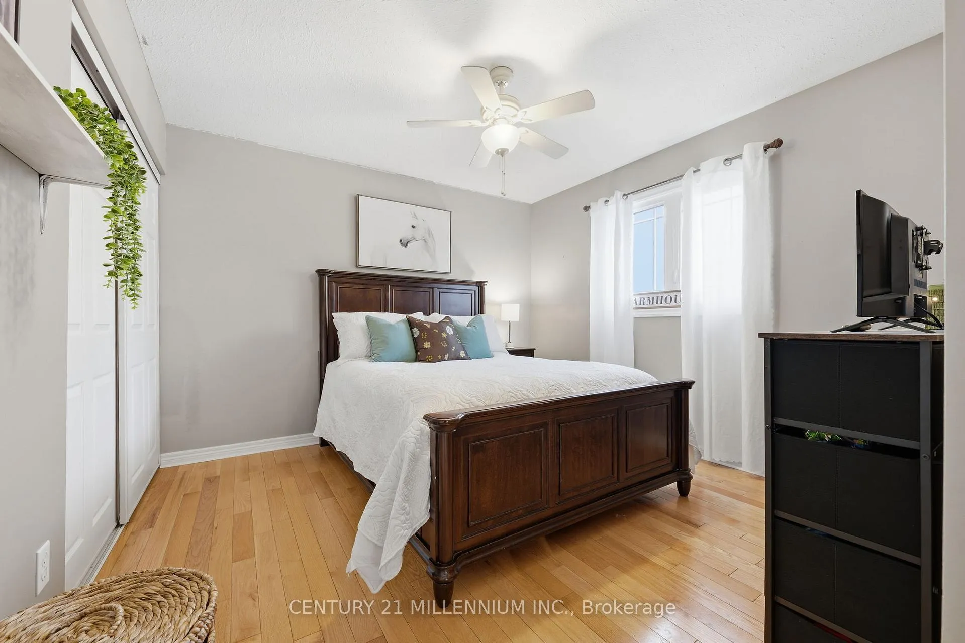 Photo 19 of 44 St John Street, Amaranth, Rural Amaranth — HOMEH