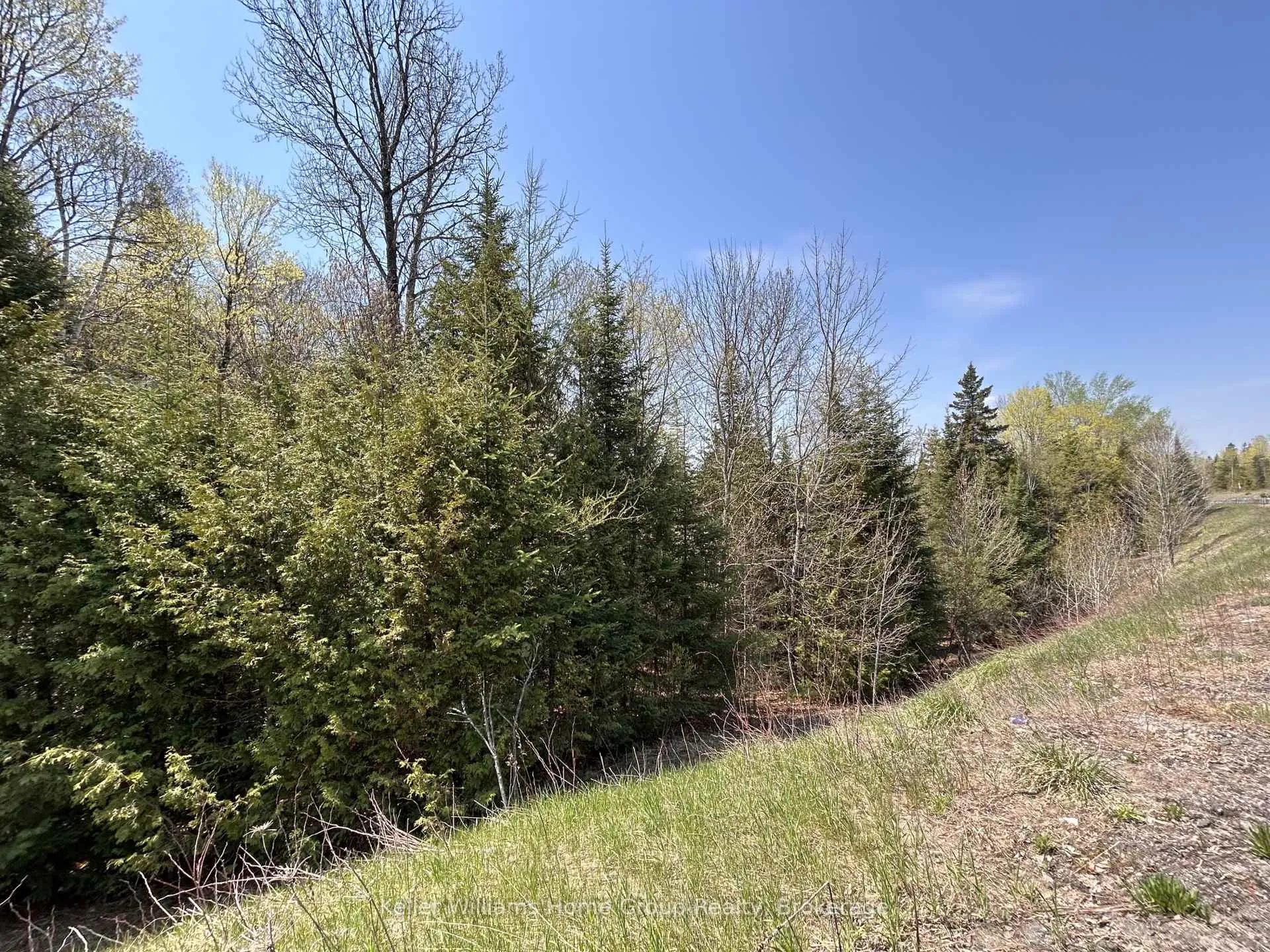 Photo 6 of Highway 118, Faraday — HOMEH