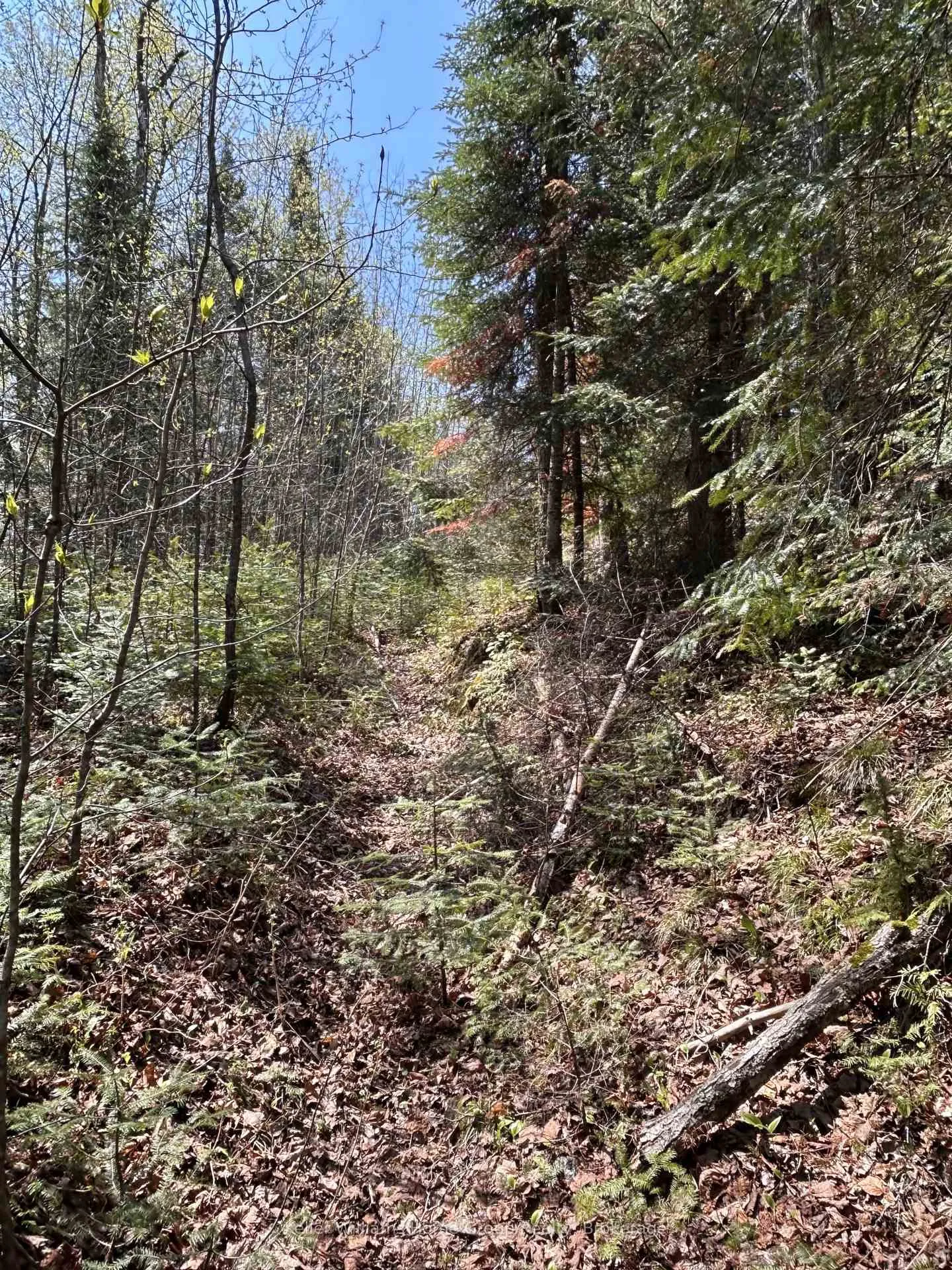 Photo 10 of Highway 118, Faraday — HOMEH