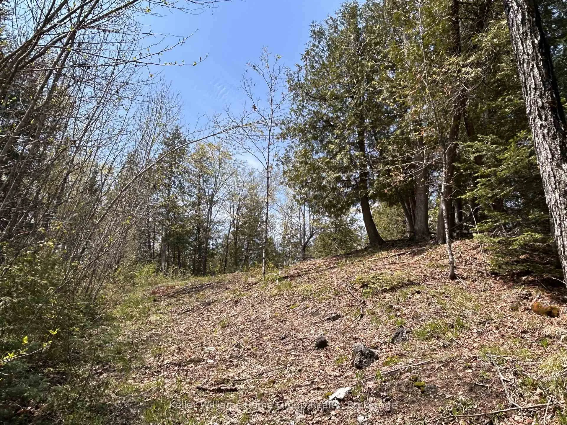 Photo 11 of Highway 118, Faraday — HOMEH