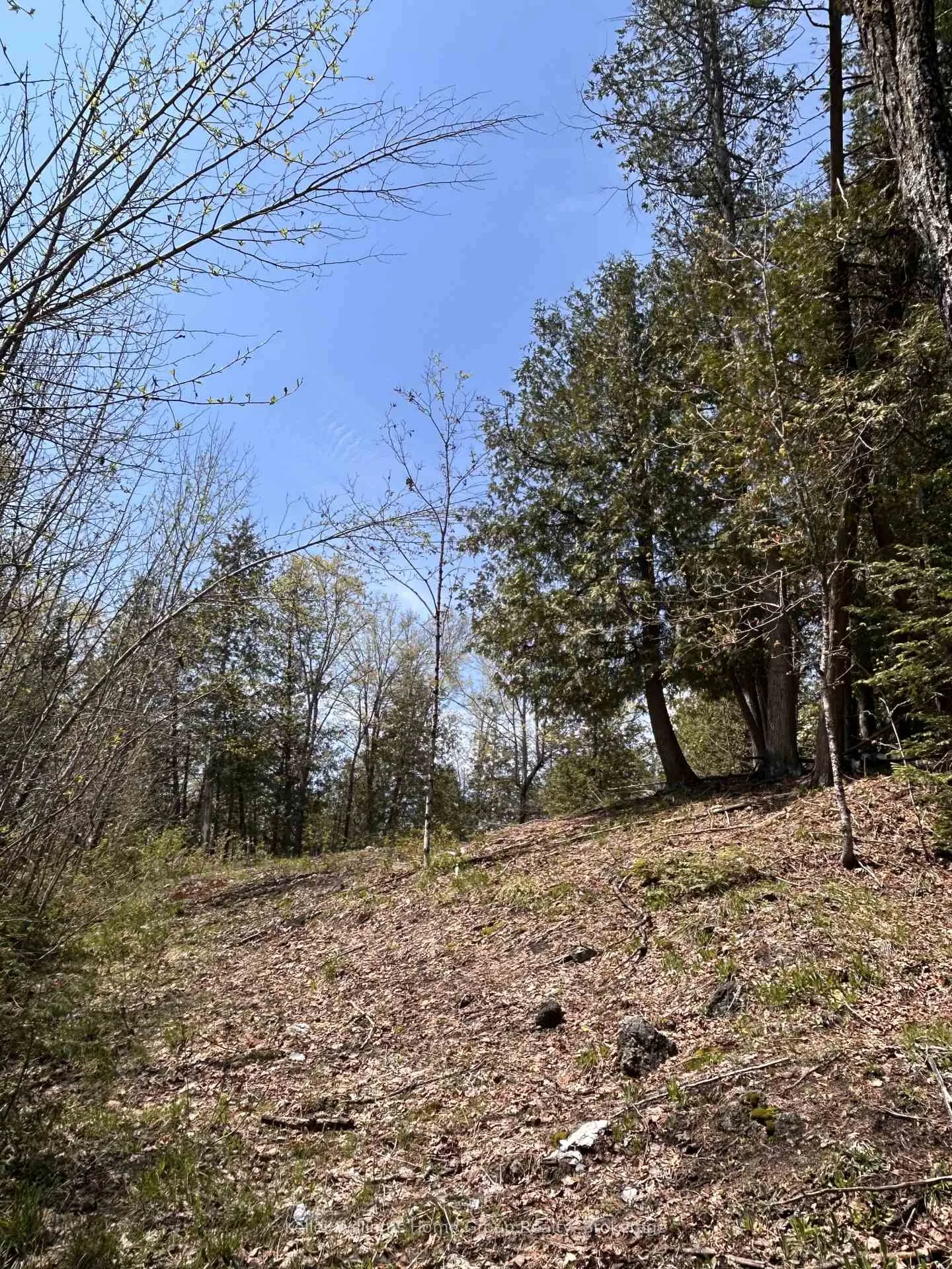 Photo 12 of Highway 118, Faraday — HOMEH