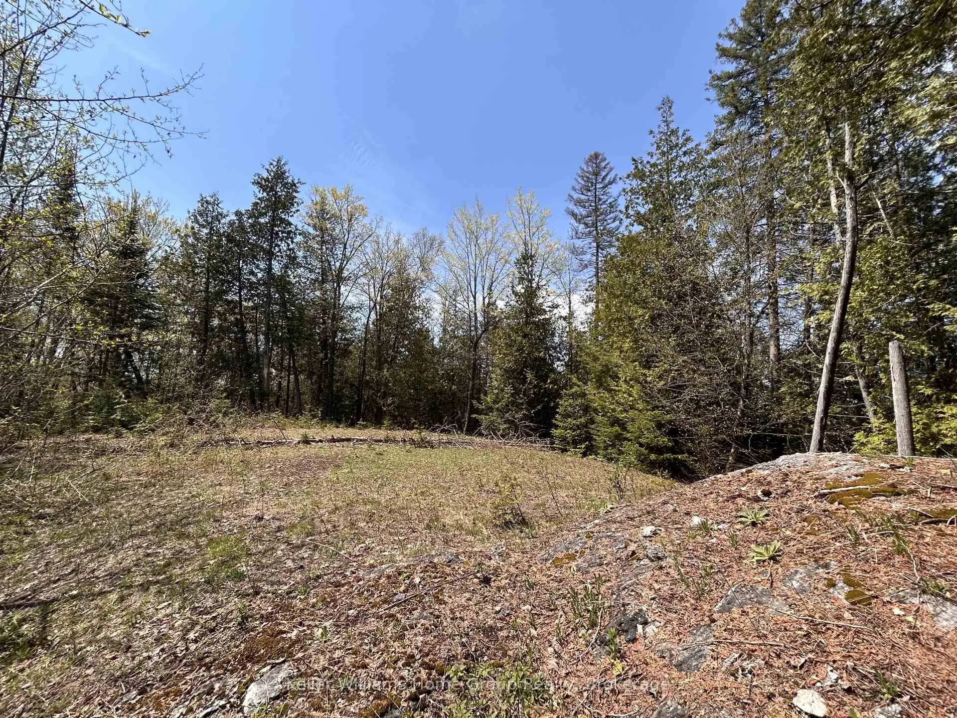 Photo 13 of Highway 118, Faraday — HOMEH