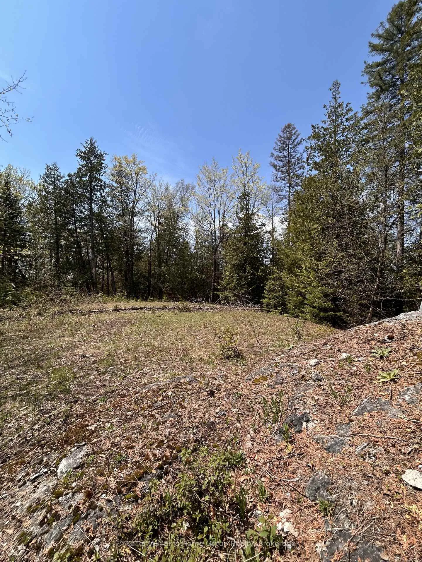 Photo 14 of Highway 118, Faraday — HOMEH