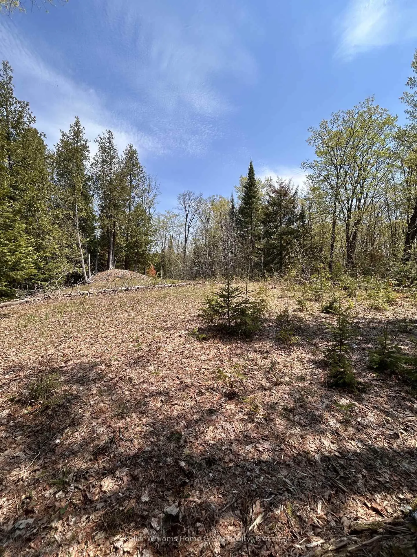 Photo 17 of Highway 118, Faraday — HOMEH