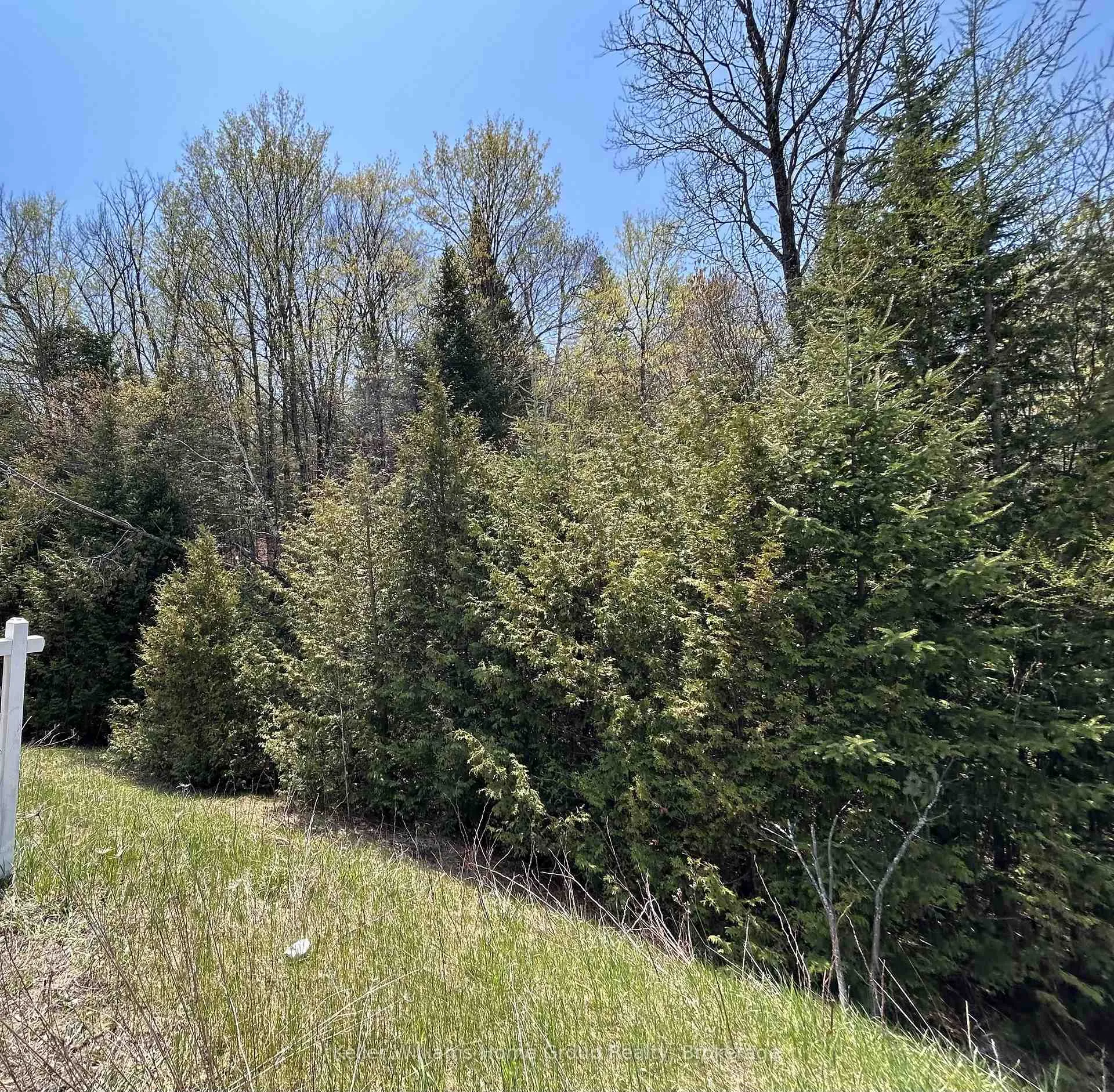 Photo 19 of Highway 118, Faraday — HOMEH