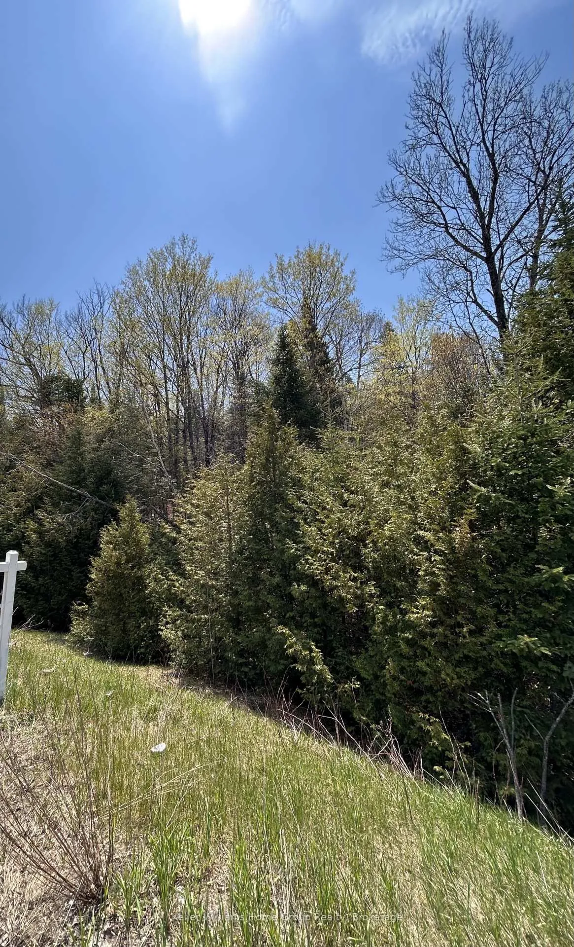Photo 20 of Highway 118, Faraday — HOMEH