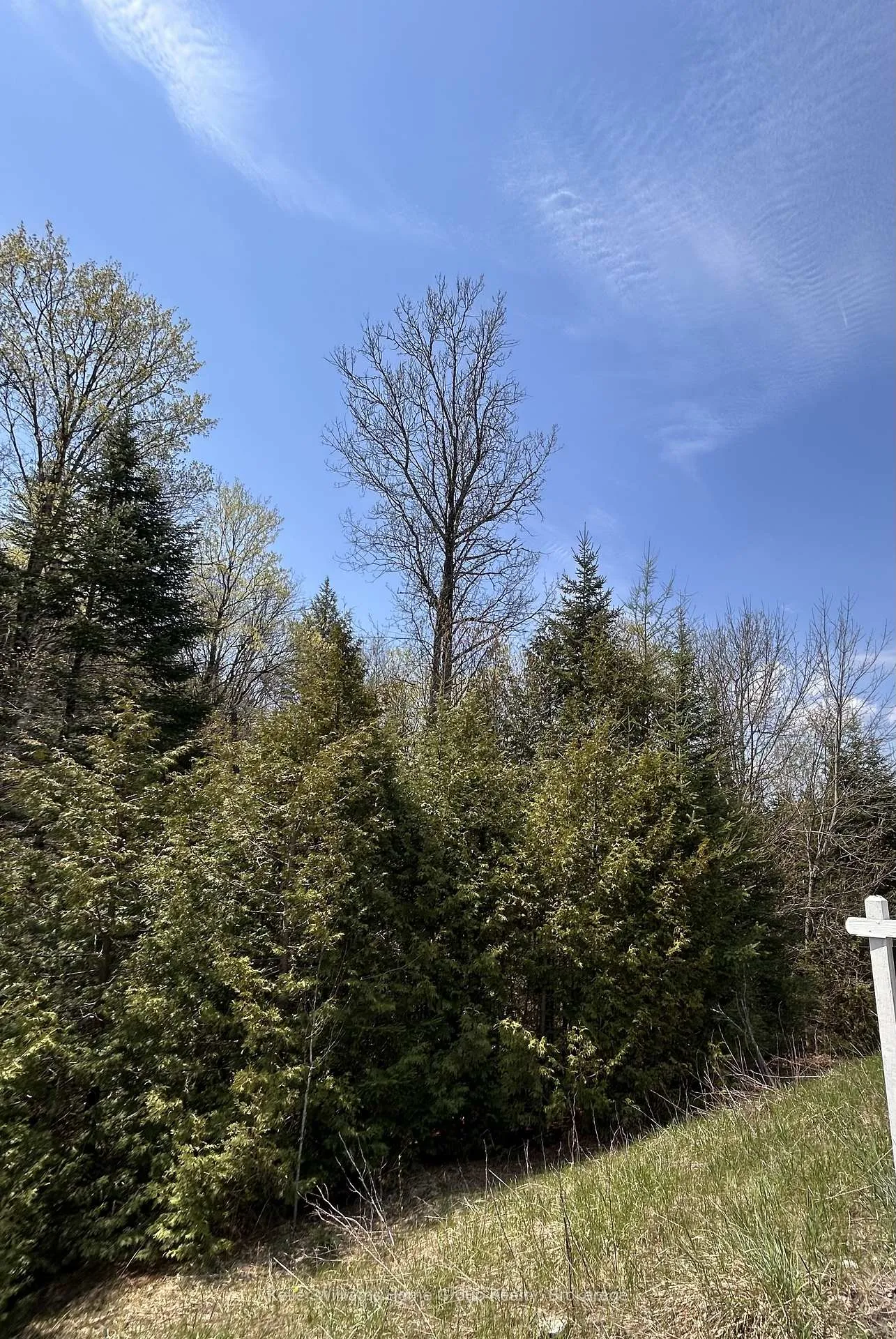 Photo 21 of Highway 118, Faraday — HOMEH