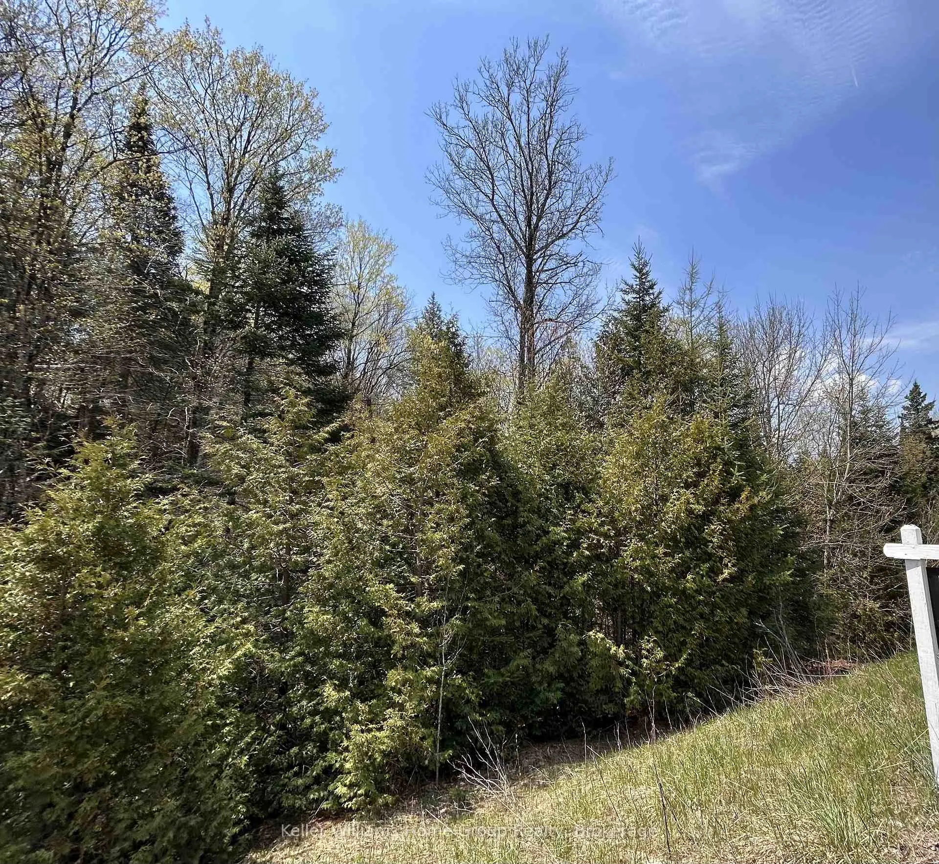 Photo 22 of Highway 118, Faraday — HOMEH