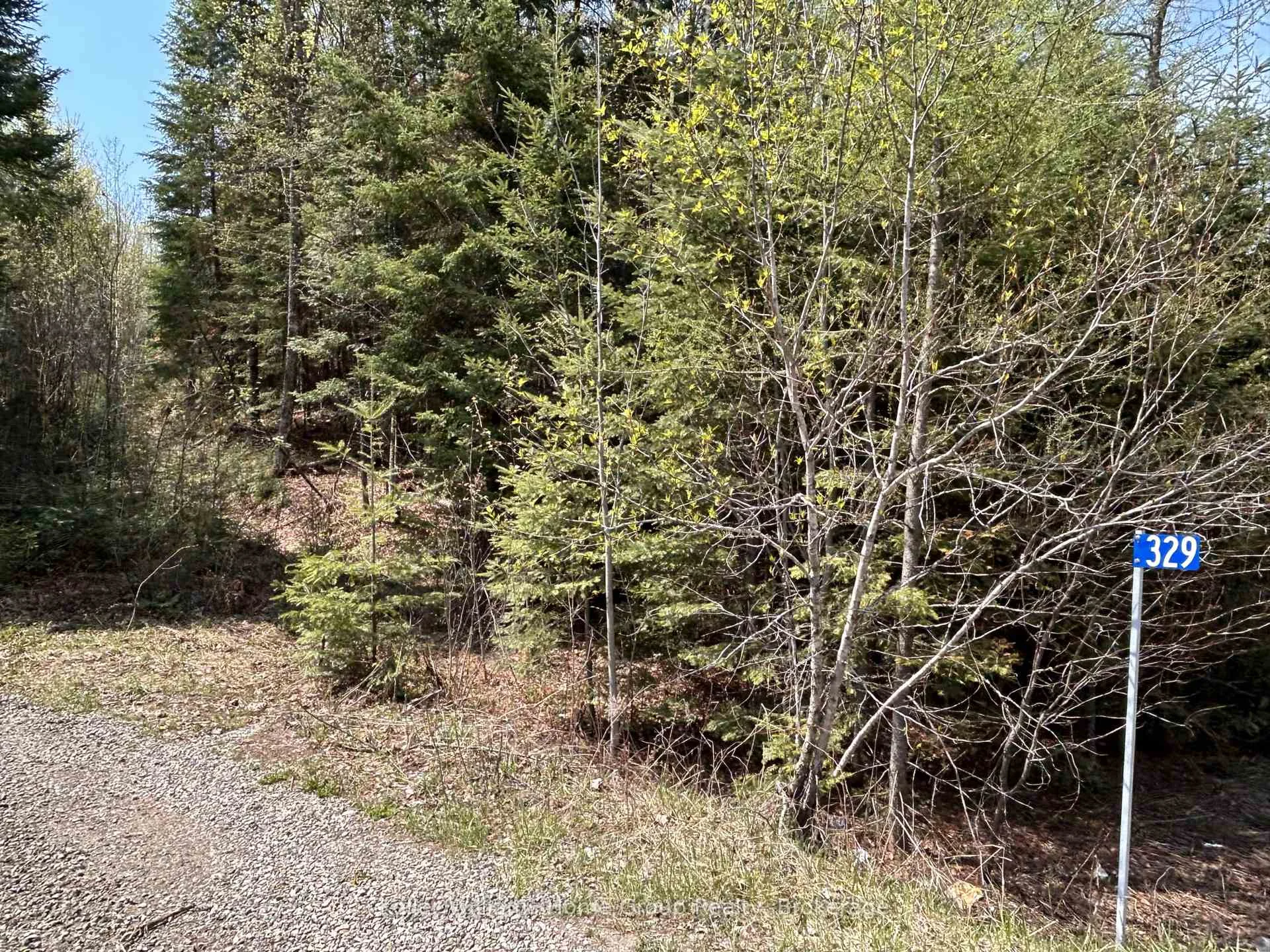Photo 5 of Highway 118, Faraday — HOMEH