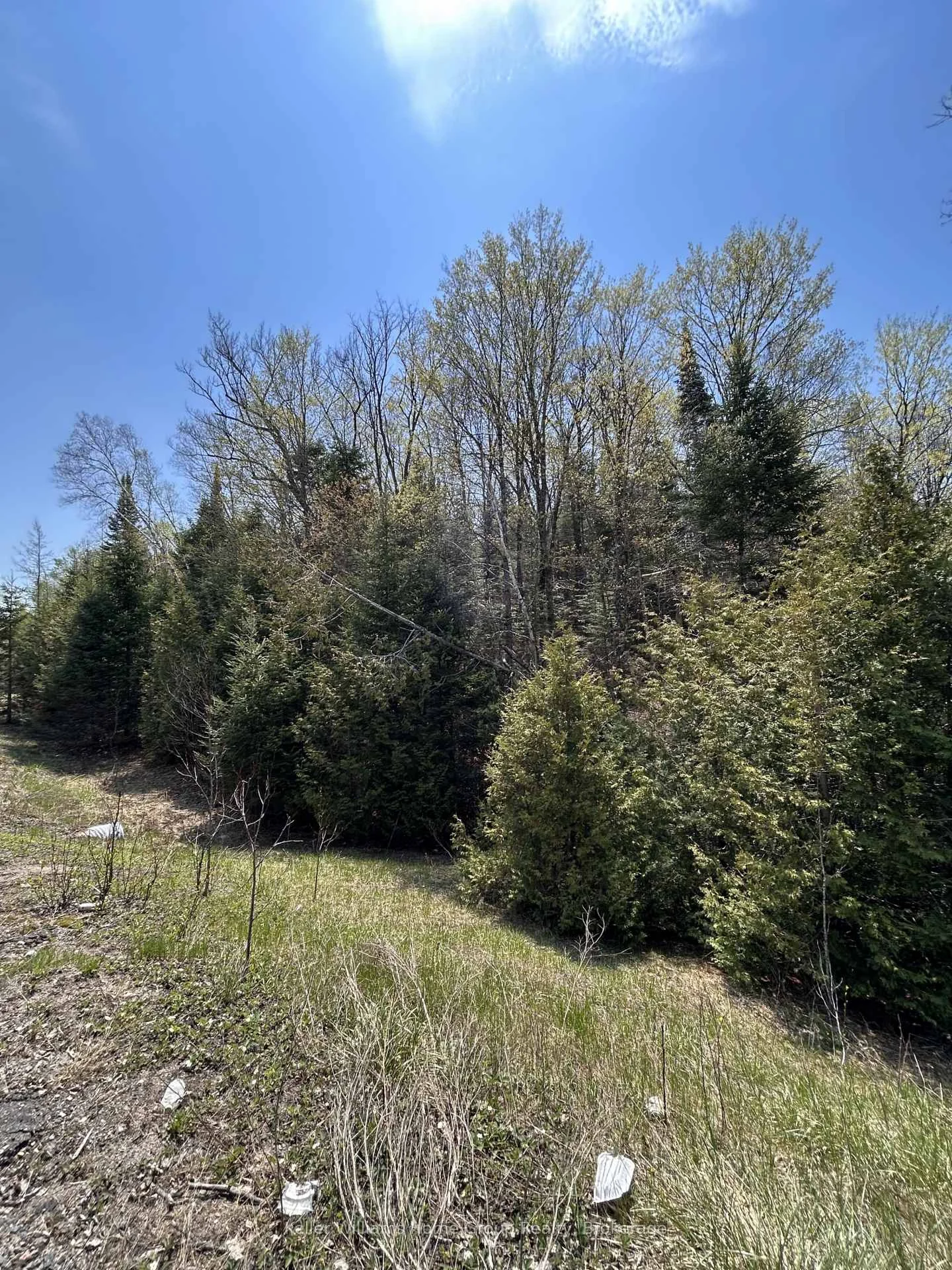 Photo 8 of Highway 118, Faraday — HOMEH