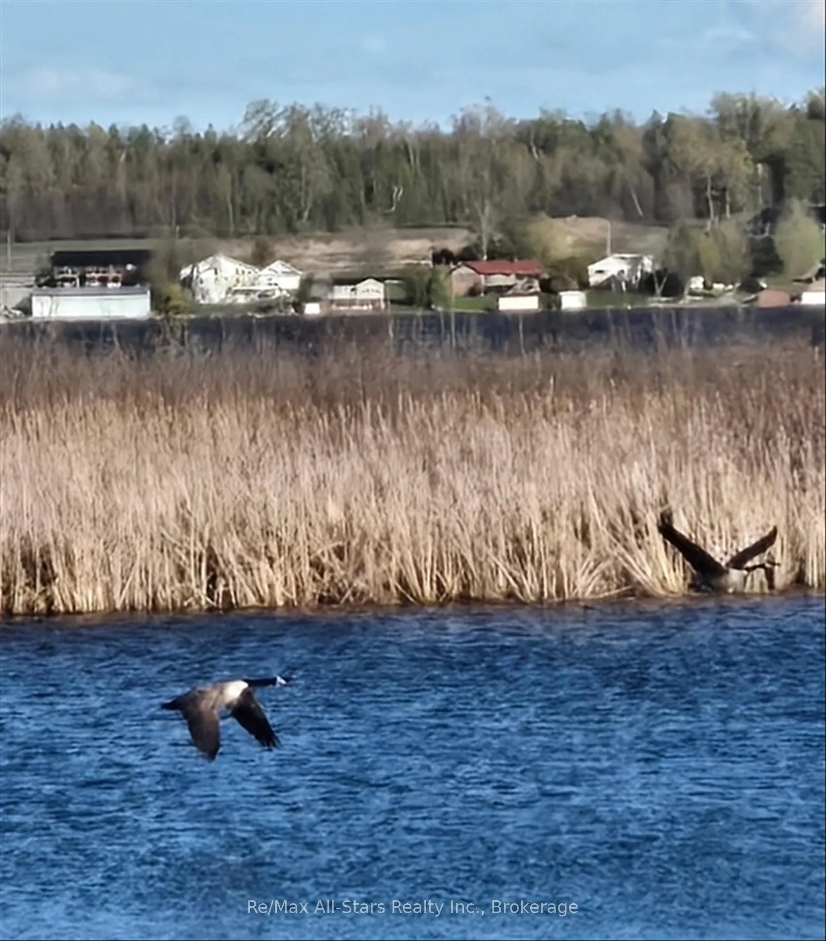 Photo 48 of 132 Fenelon Drive, Kawartha Lakes, Fenelon — HOMEH