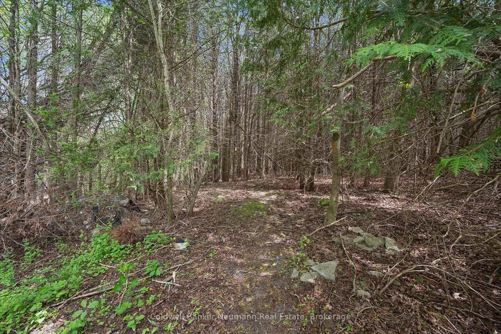 Photo 50 of 6592 Forestell Road, Puslinch, Rural Puslinch West — HOMEH