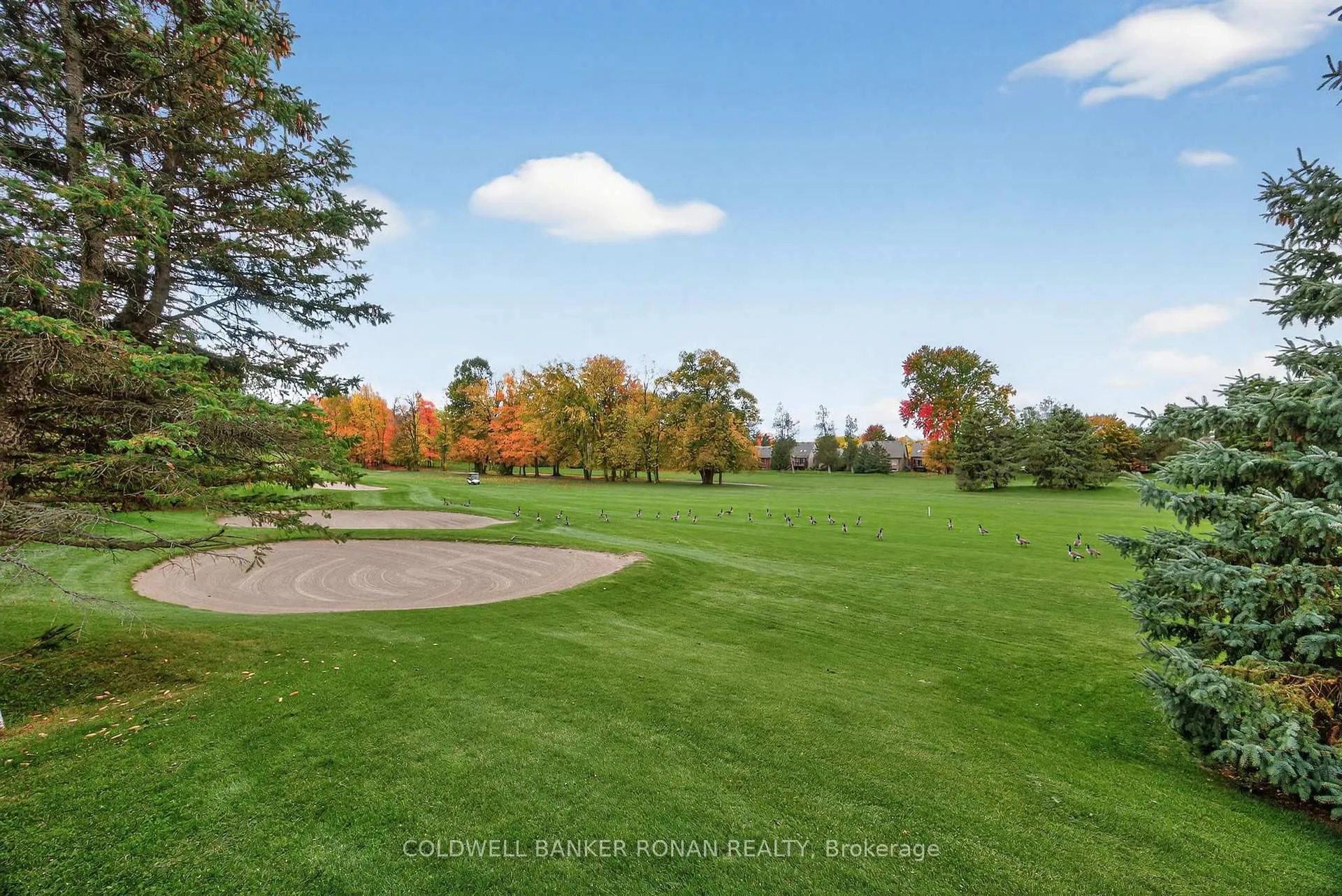 Photo 48 of 14 Via Amici, New Tecumseth, Rural New Tecumseth — HOMEH