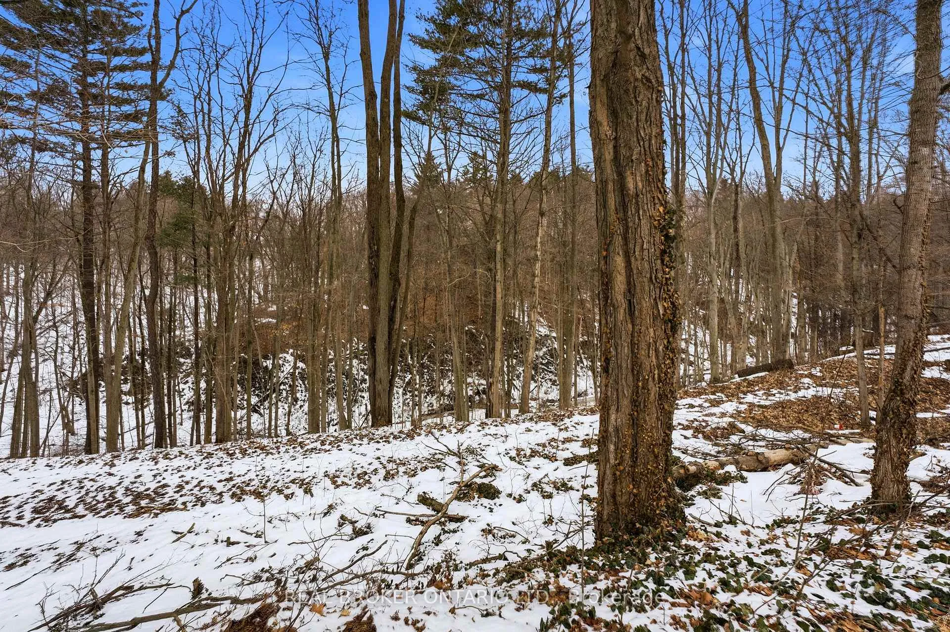 Photo 35 of 10475 Plank Road, Bayham, Rural Bayham — HOMEH