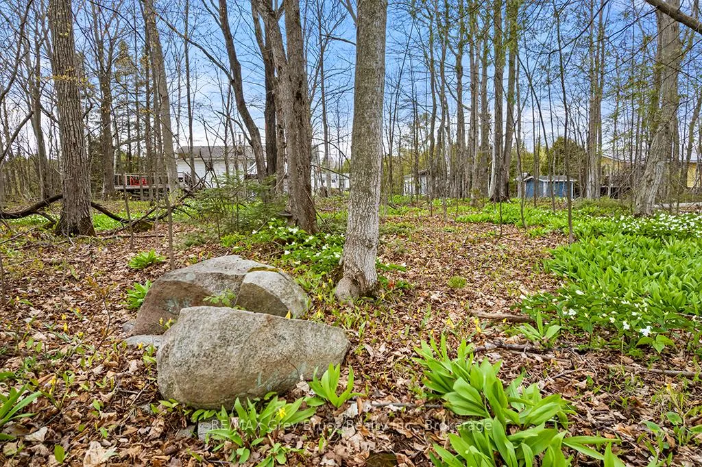 Photo 14 of 46 Maple Golf Crescent, Northern Bruce Peninsula — HOMEH