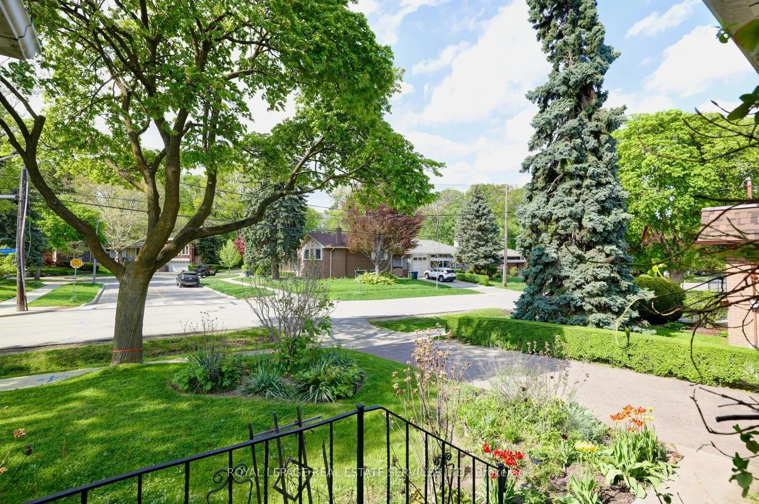 Photo 4 of 109 Chapman Road, Etobicoke, Humber Heights — HOMEH