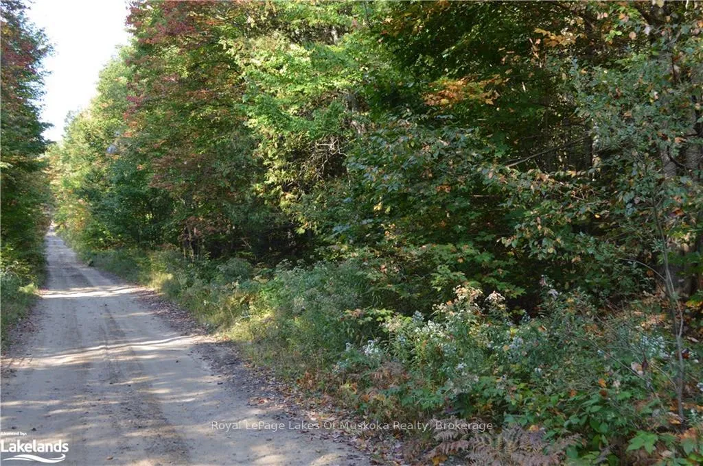 Photo of LOT 20 Concession 5 Road
