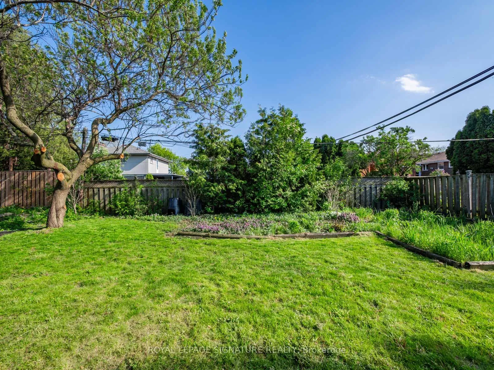 Photo 35 of 31 Birchard Street, Scarborough, Tam O'Shanter-Sullivan — HOMEH