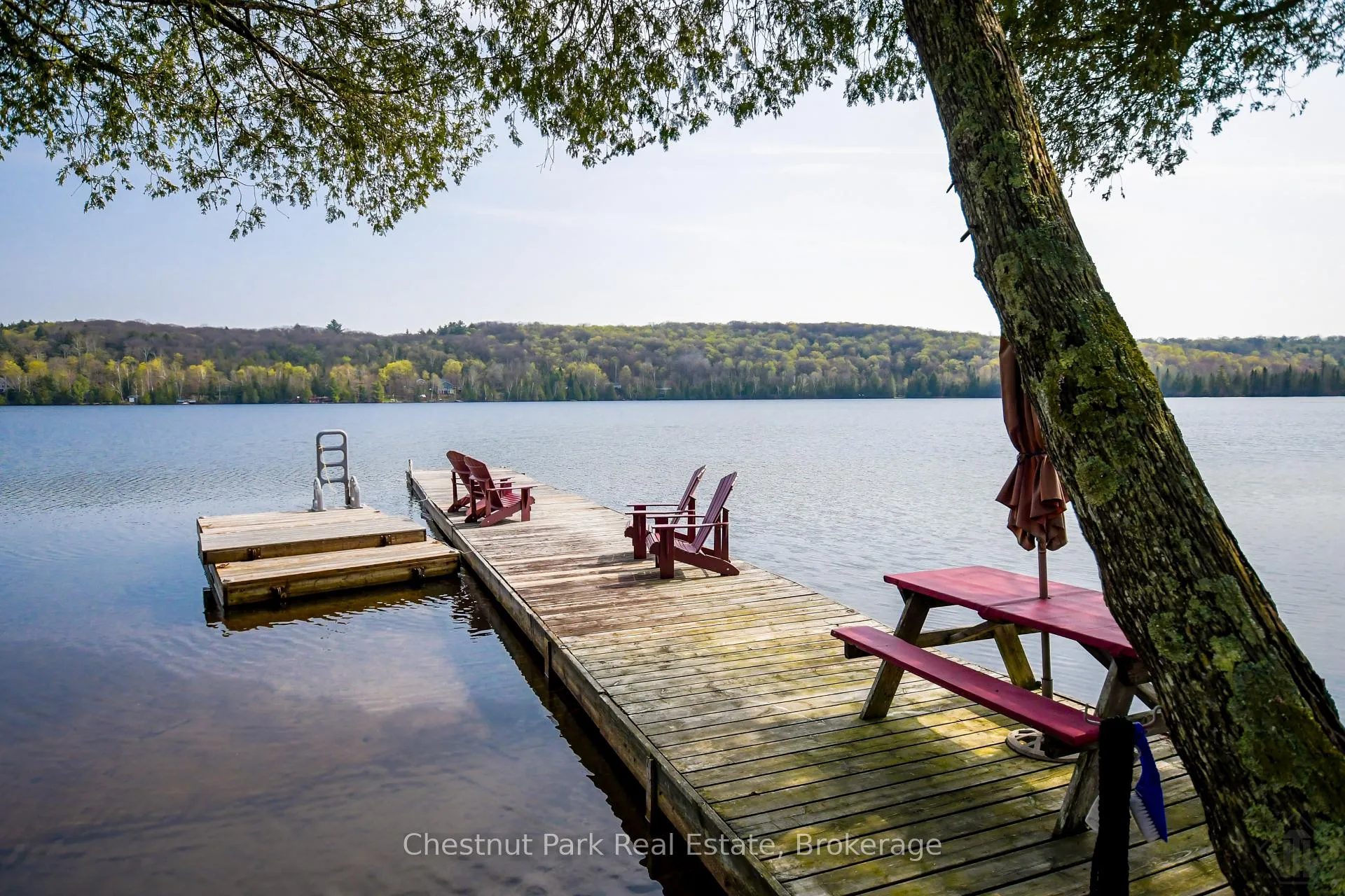 Photo 4 of 1408 Bay Lake Road, Perry — HOMEH