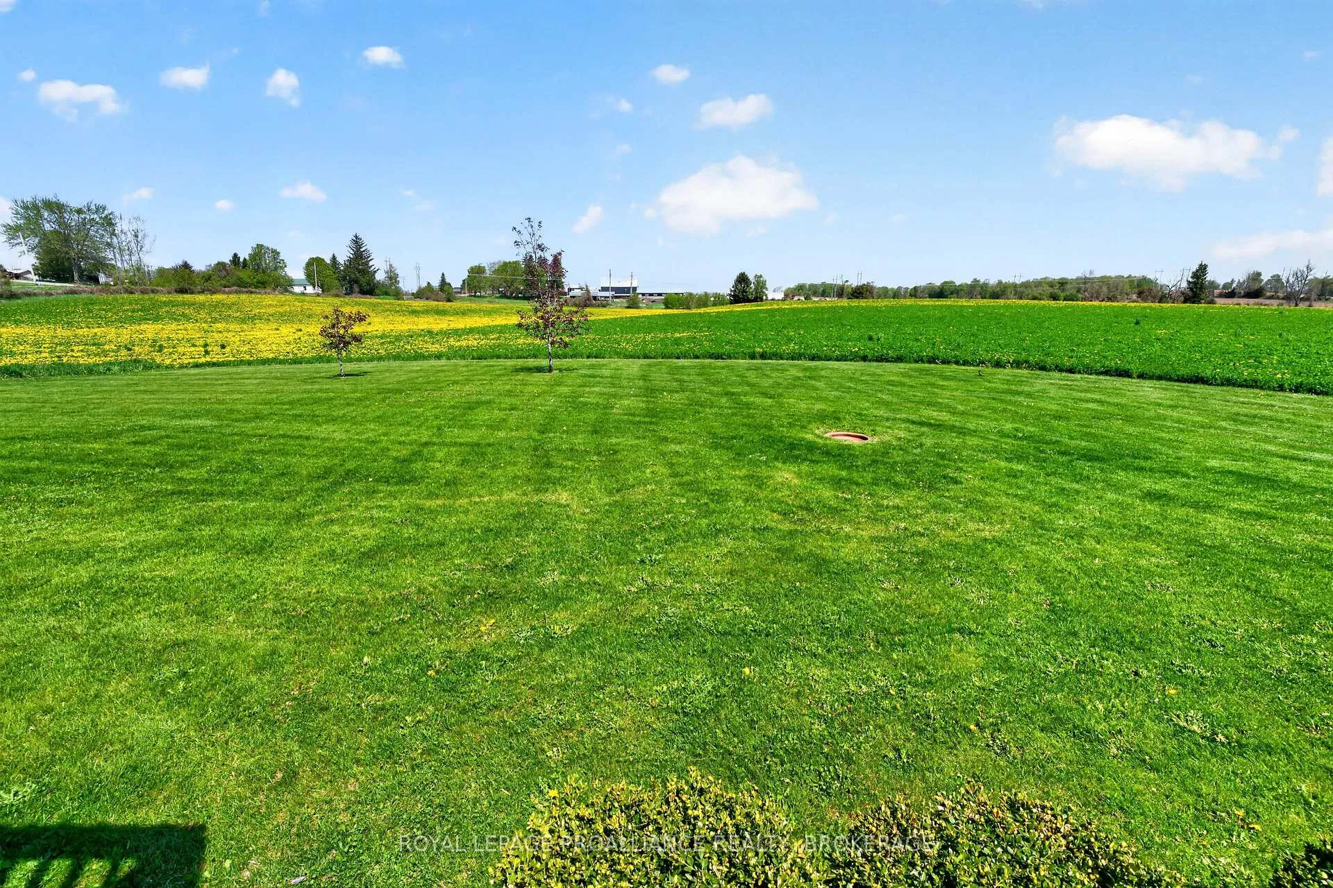 Photo 50 of 15268 County Road 21, Brighton, Rural Brighton — HOMEH