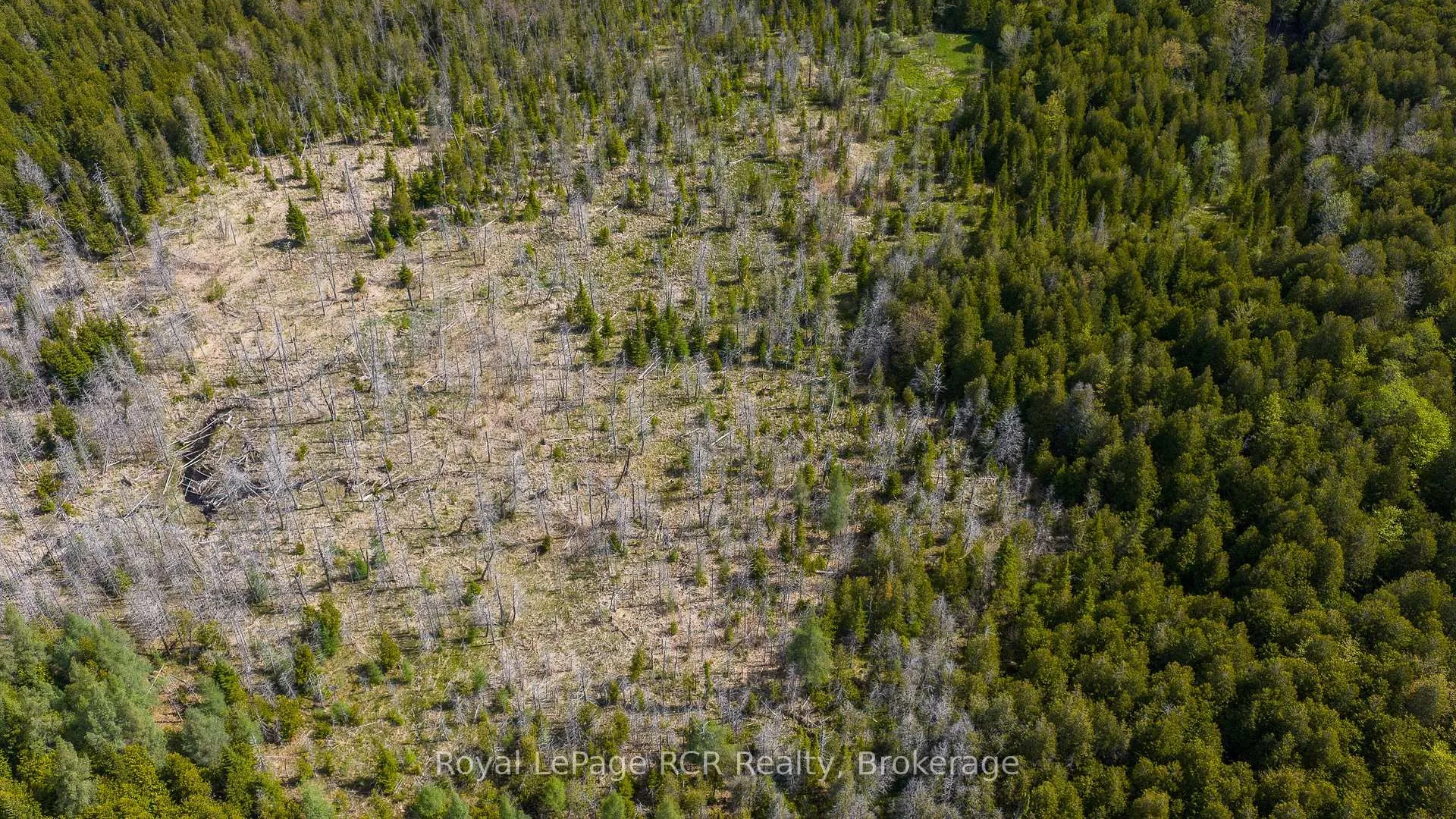 Photo 37 of 776318 Highway 10, Chatsworth — HOMEH