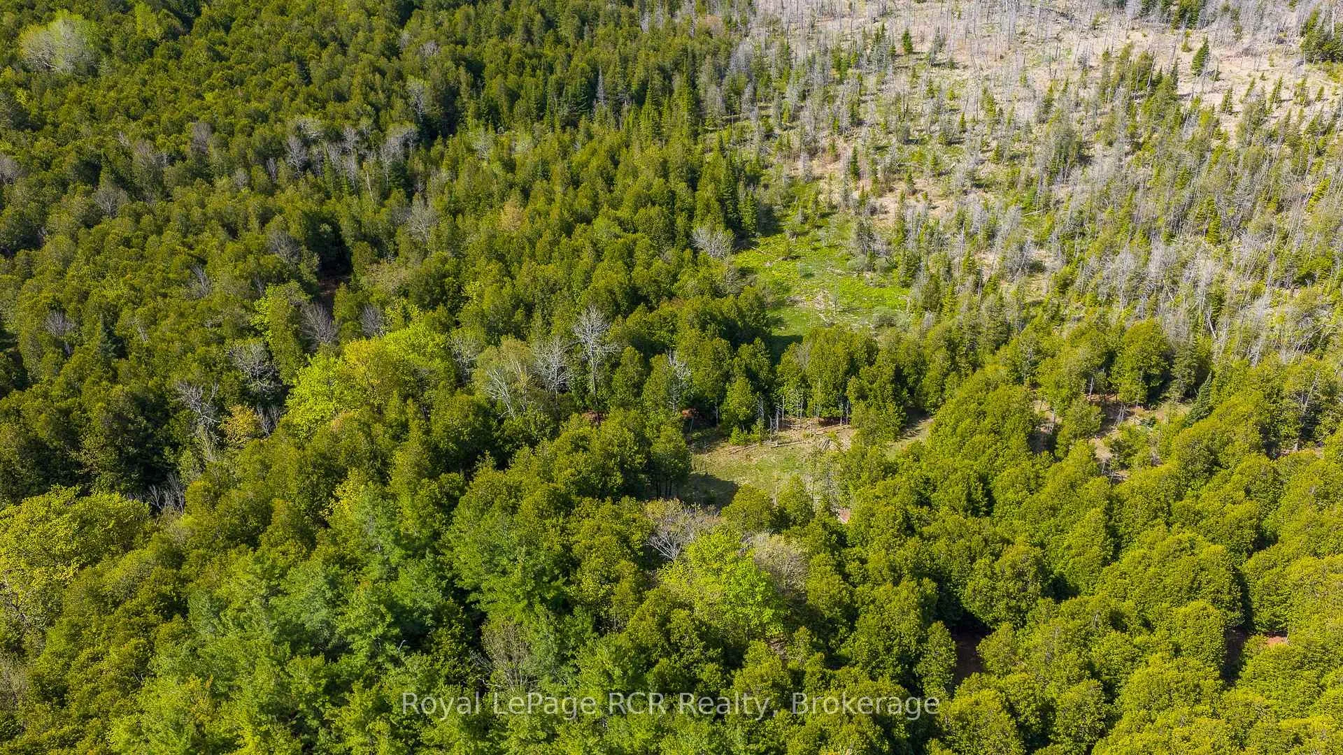 Photo 38 of 776318 Highway 10, Chatsworth — HOMEH