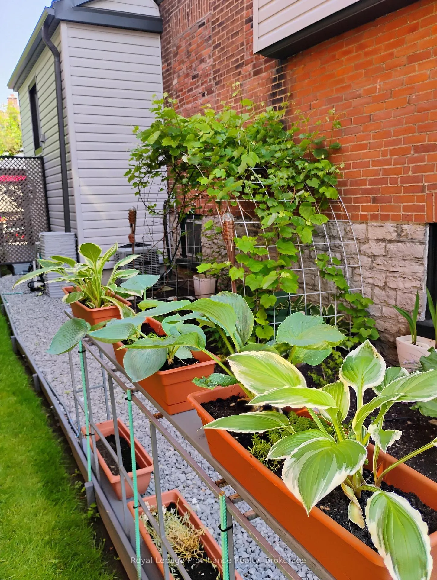 Photo 33 of 30 Catharine Street, Belleville, Belleville Ward — HOMEH