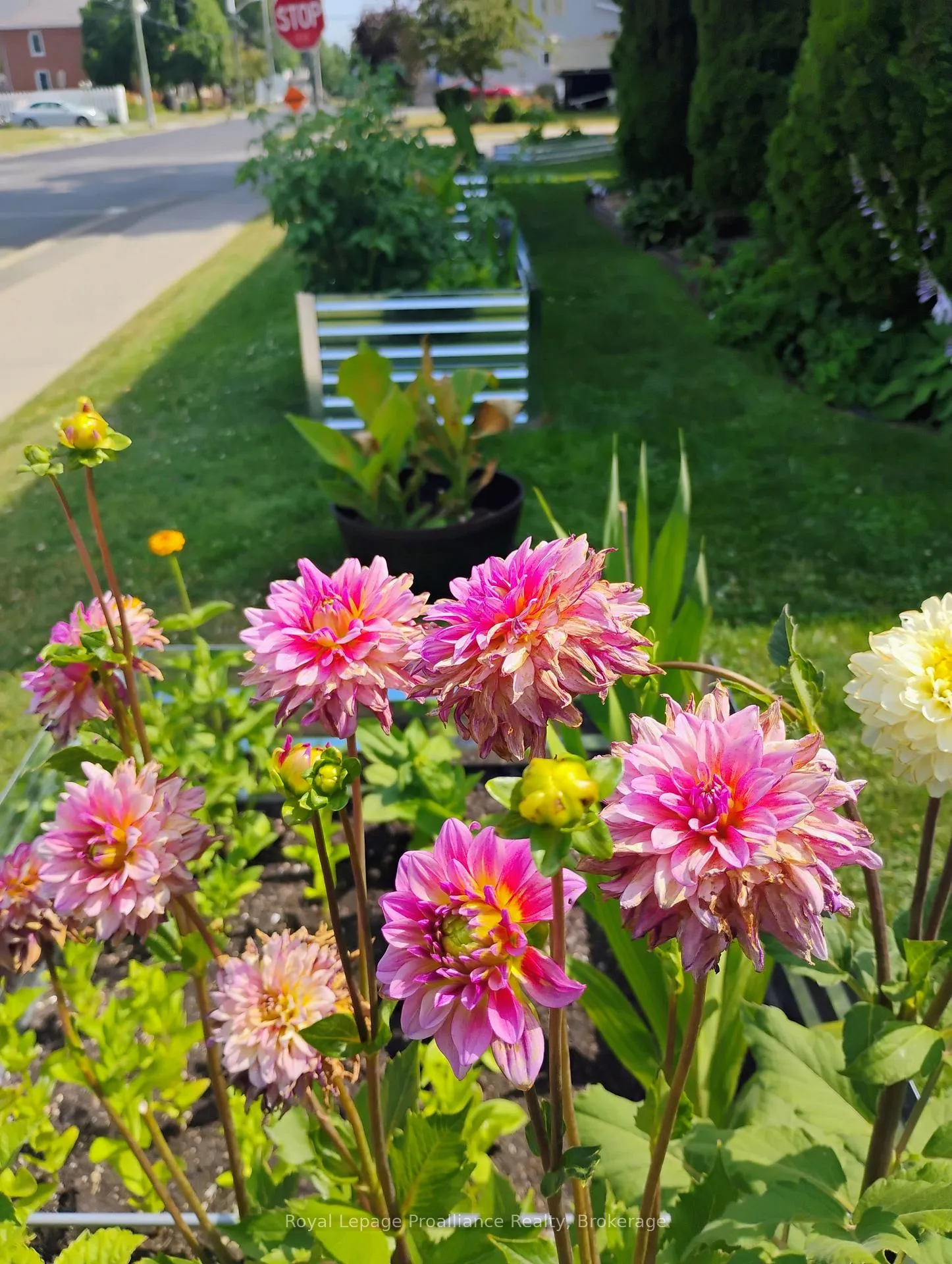 Photo 35 of 30 Catharine Street, Belleville, Belleville Ward — HOMEH