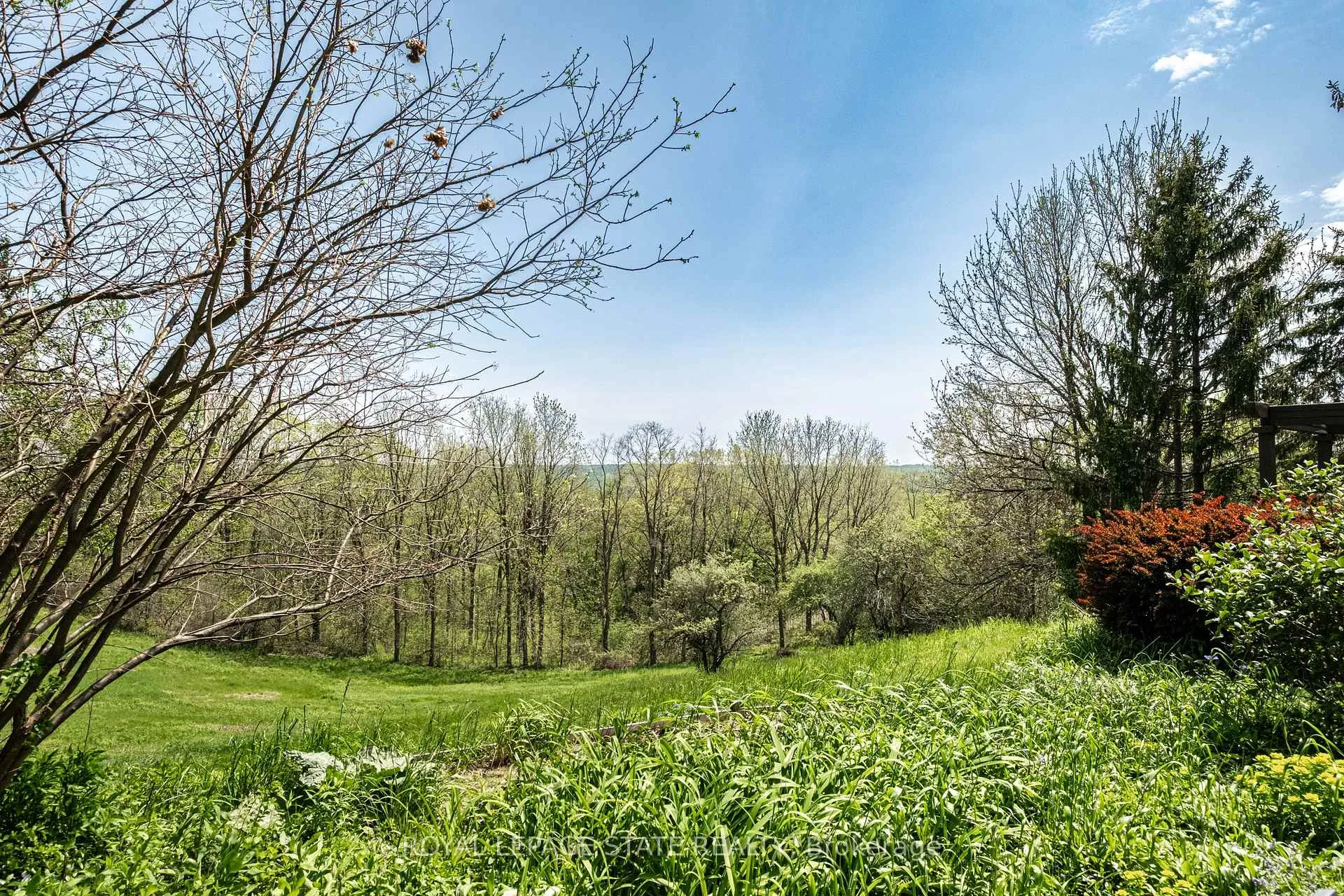 Photo 44 of 176 Weirs Lane, Hamilton, Greensville — HOMEH