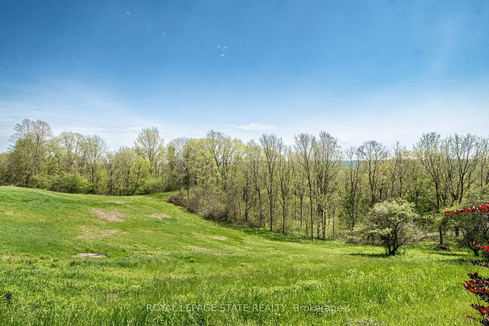 Photo 49 of 176 Weirs Lane, Hamilton, Greensville — HOMEH