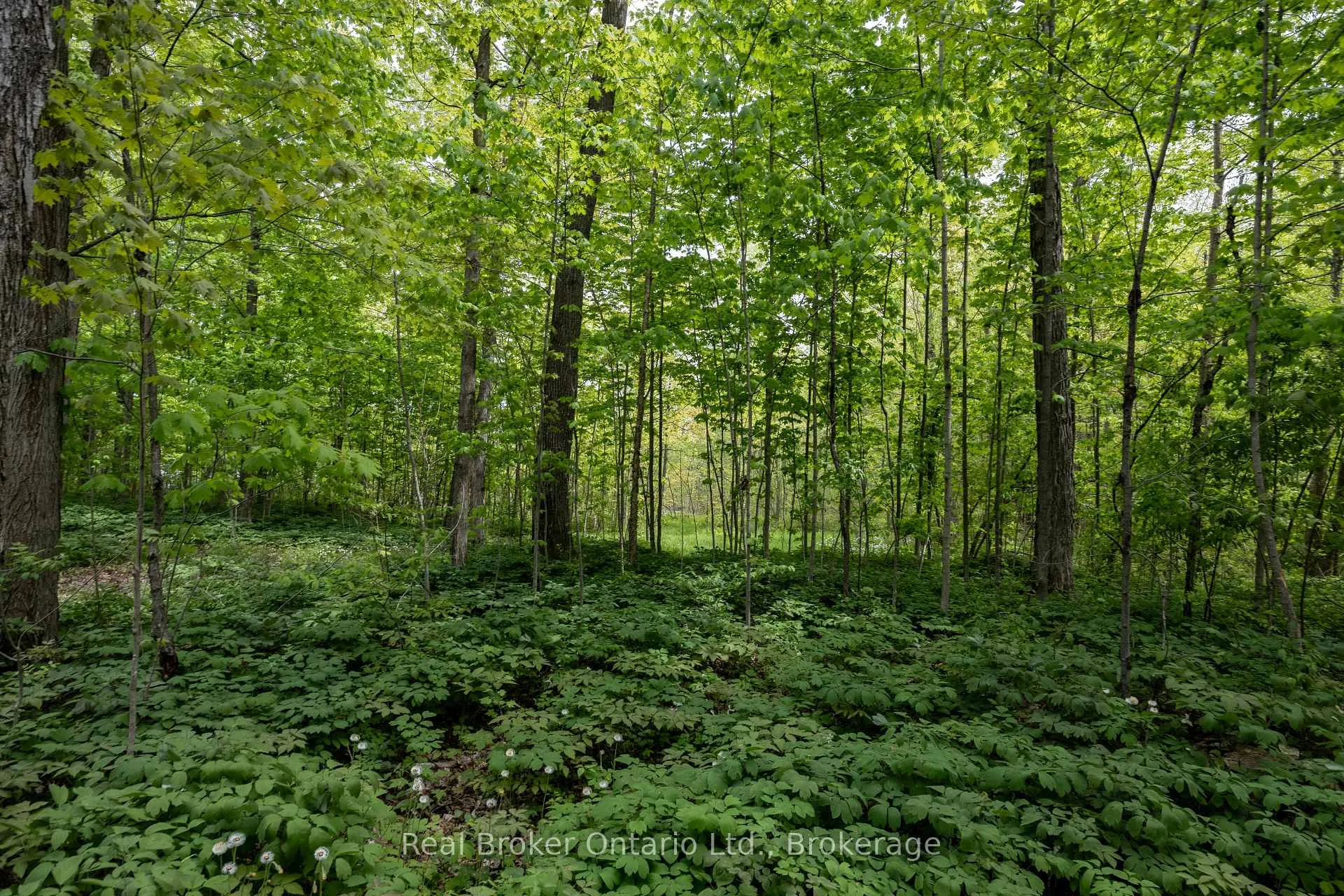 Photo 42 of 3061 Green Road, Clarington, Rural Clarington — HOMEH