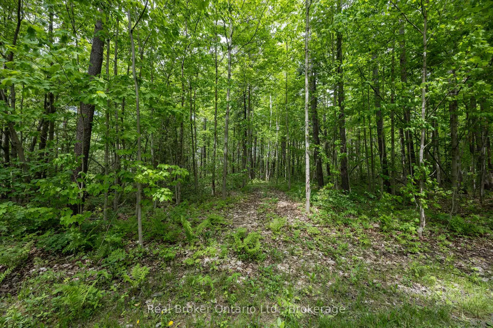 Photo 45 of 3061 Green Road, Clarington, Rural Clarington — HOMEH