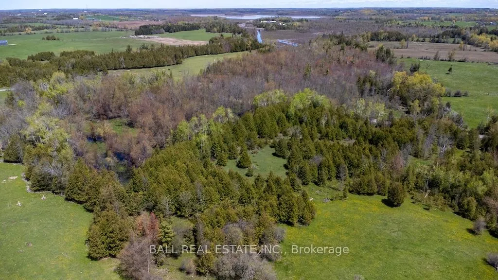 Photo 42 of 4131 County Rd 32, Douro-Dummer — HOMEH