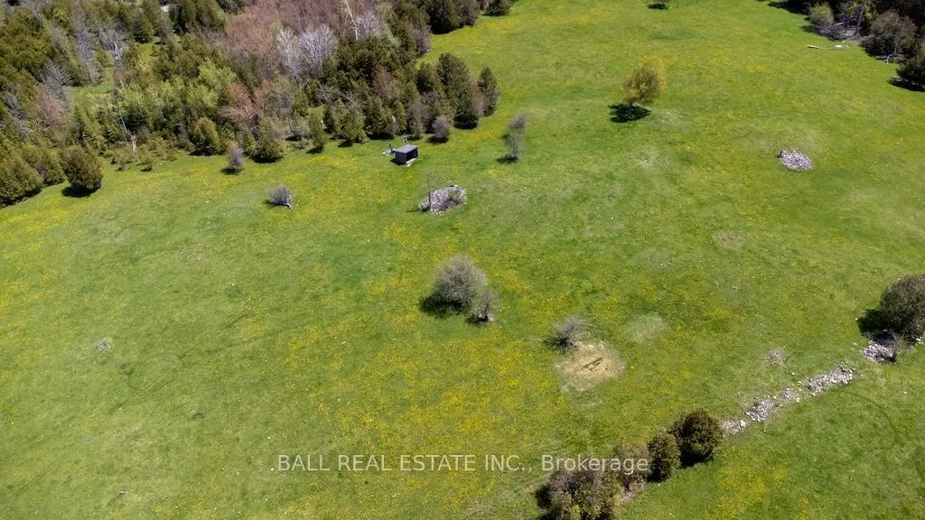 Photo 43 of 4131 County Rd 32, Douro-Dummer — HOMEH