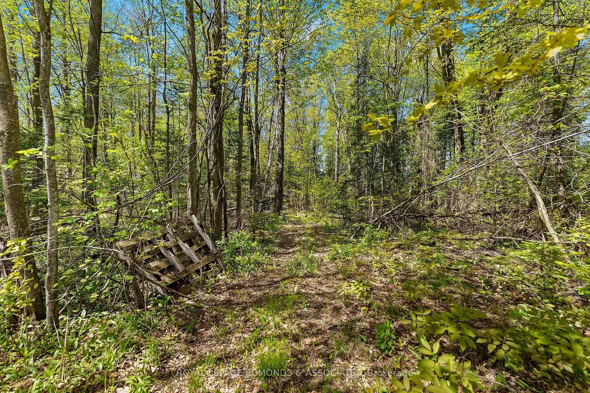 Photo 41 of 346 Hila Road, Whitewater Region, Whitewater Region — HOMEH