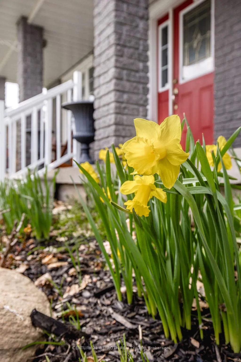 Photo 4 of 12 Graham Street, Springwater, Elmvale — HOMEH